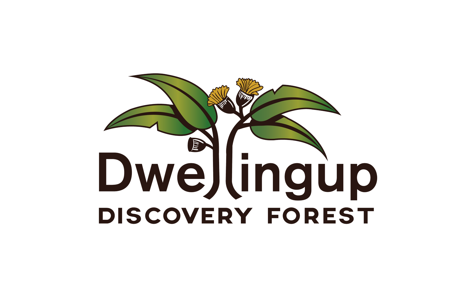DWELLINGUP DISCOVERY FOREST