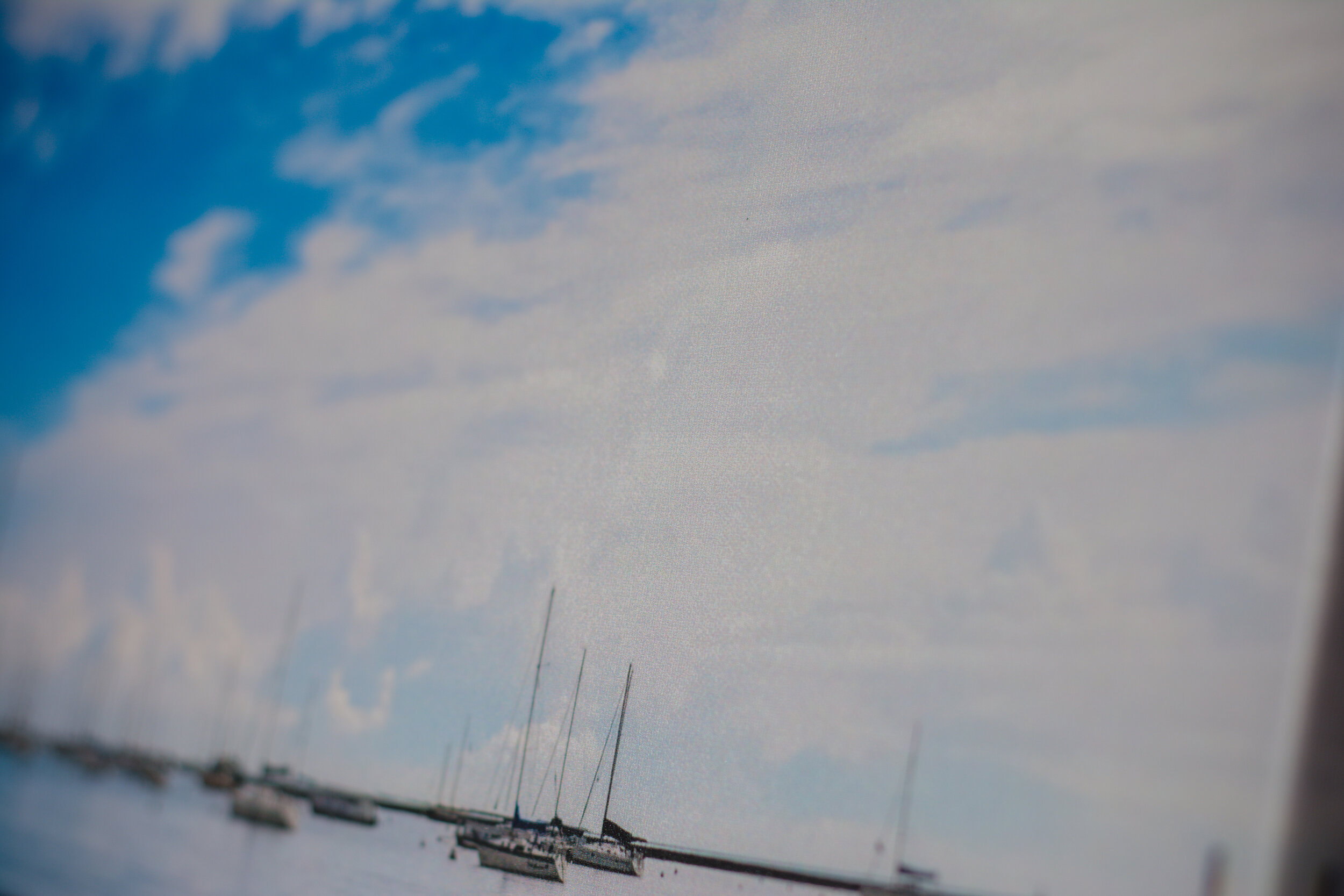 DSC_6736.jpg