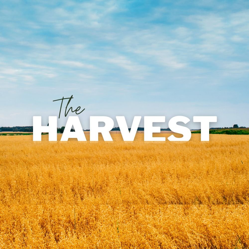 The Harvest (Slide) (1000 × 1000px).jpg