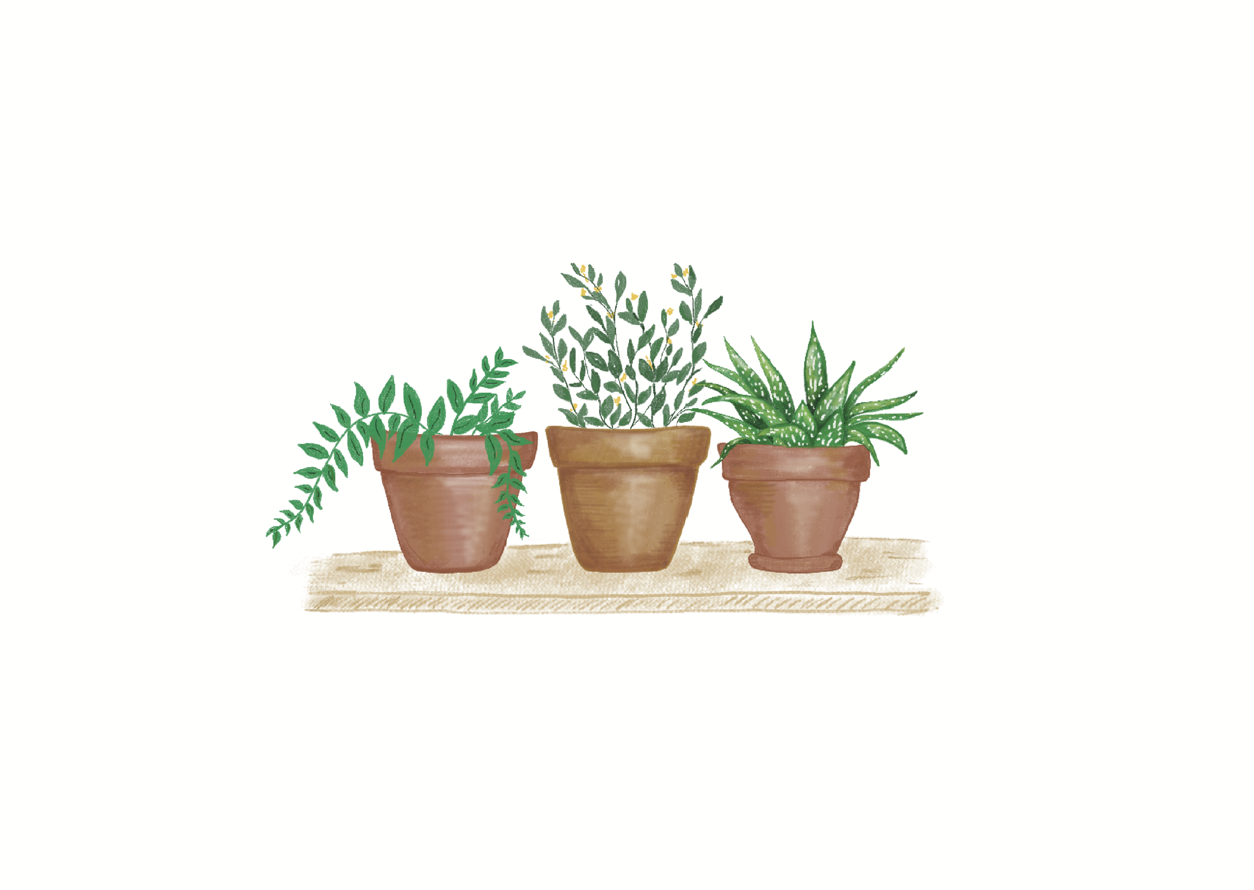 Pot plants note card design