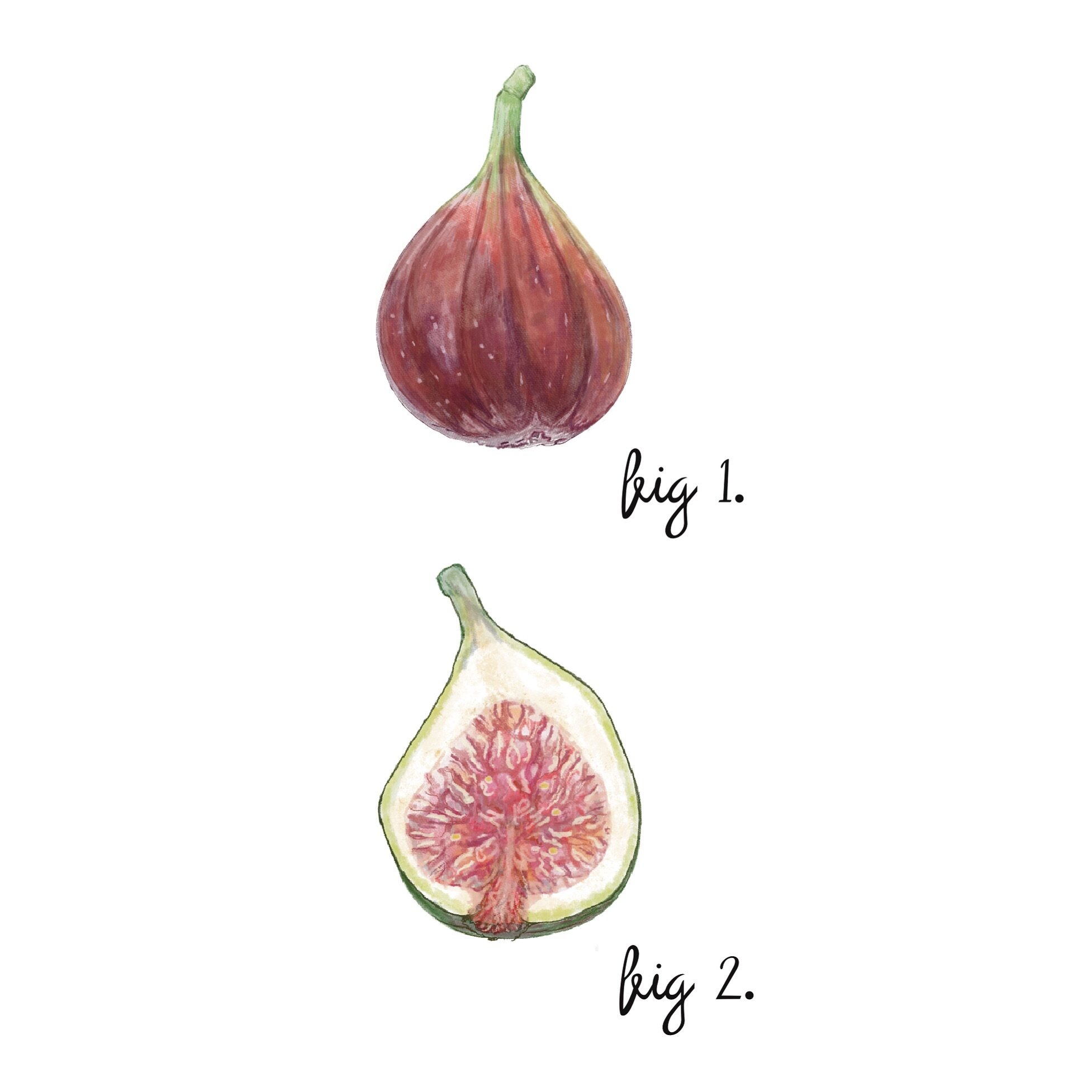 Ahhh, I do love fig season. 

And I do love the scent of a fig tree on a hot balmy night. 

So, to make sure I reach my fig consumption quota this year, I have made plans to go fig picking this weekend. I hope you still have plenty @willabrand  @glen