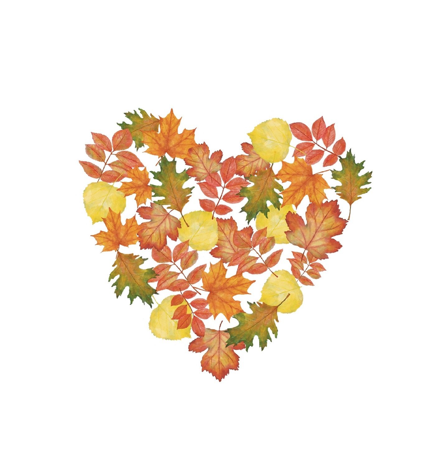 Sending some Autumnal love you way.

I hope you find time to 

-  curl up on the couch with a good book 

- chat with a dear friend over coffee

- head out for a hike and breathe in some fresh air

- take note of the  beautiful Autumn colours

- put 
