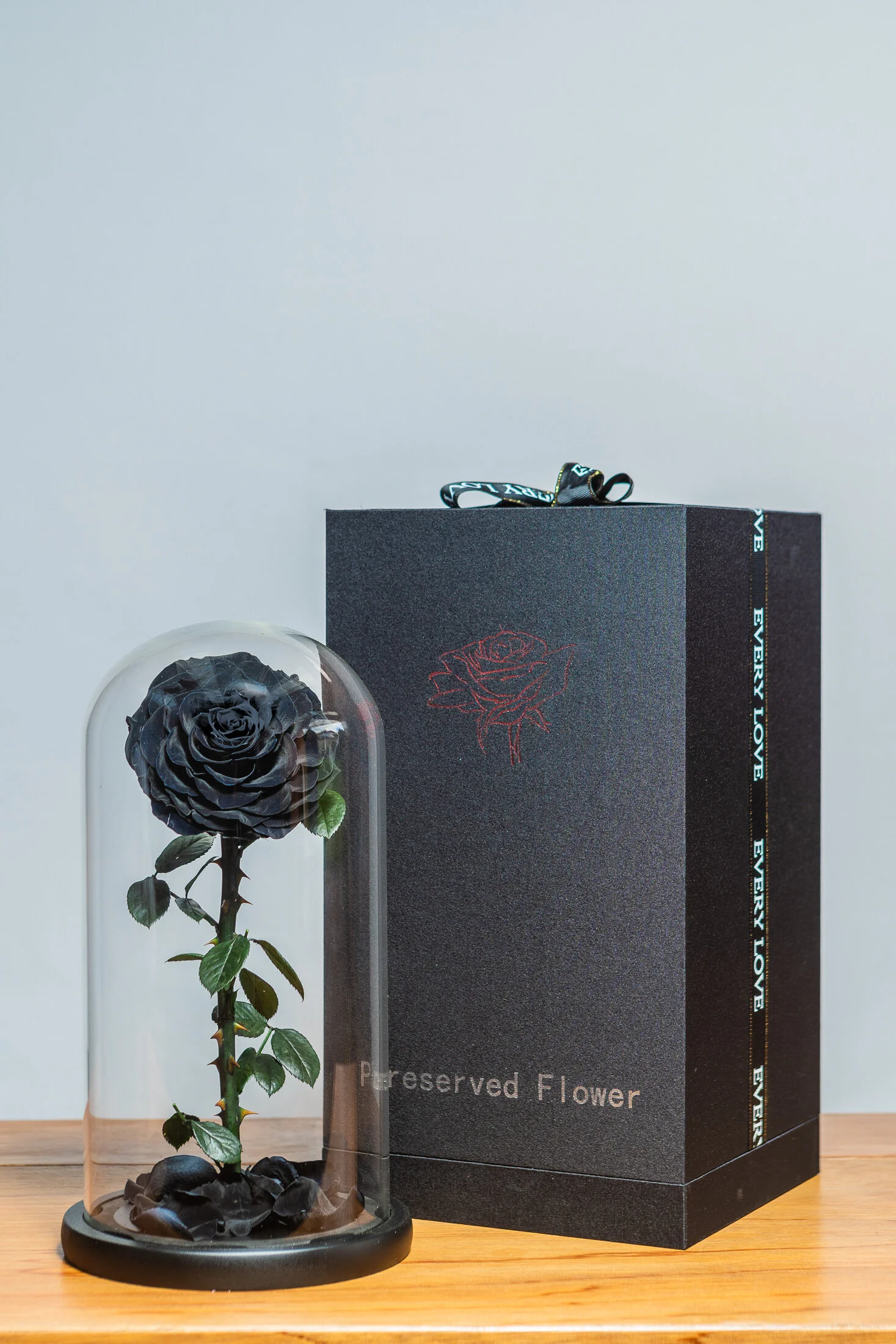 The Ever Lasting Rose - Black
