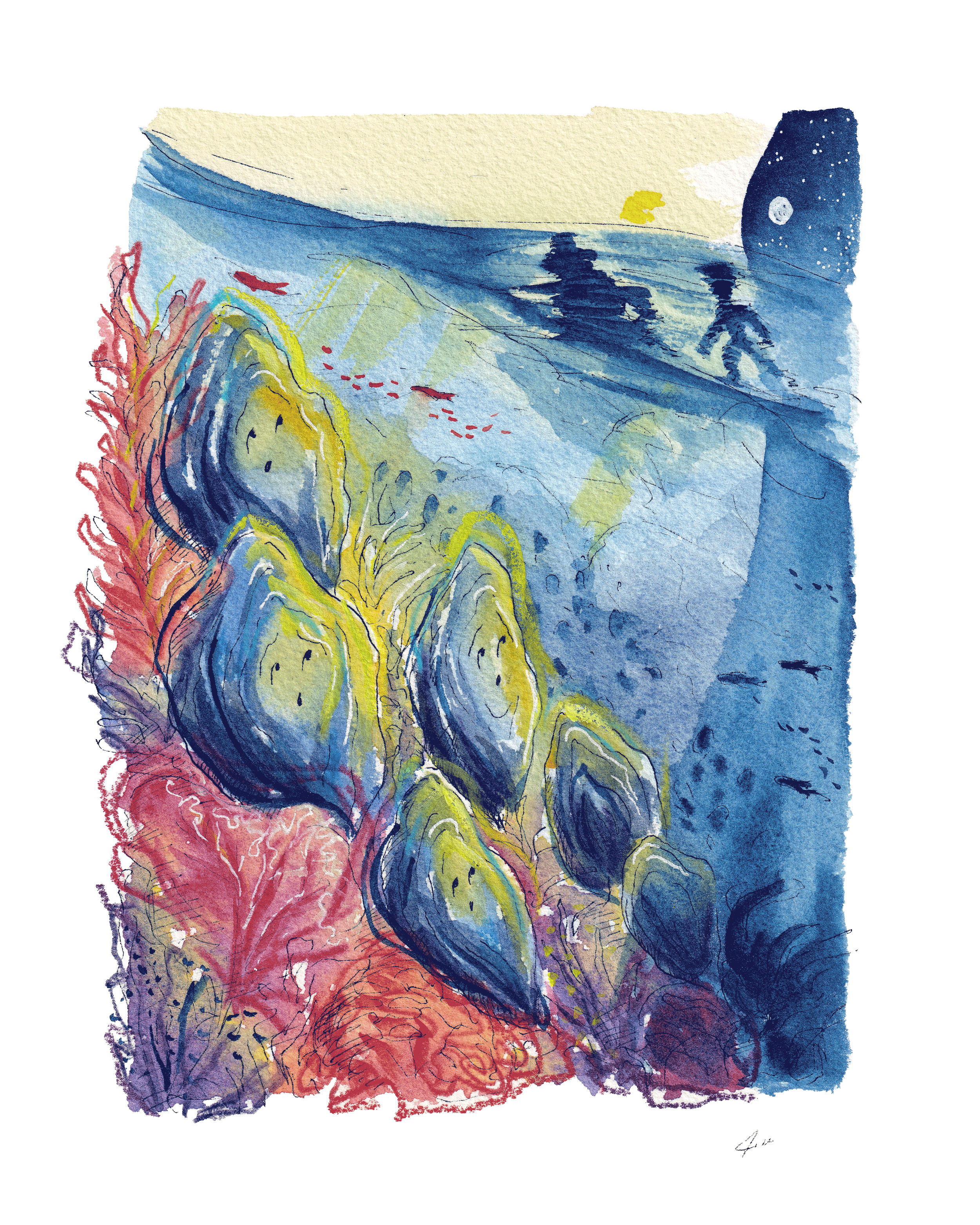 O is for Oyster - Original