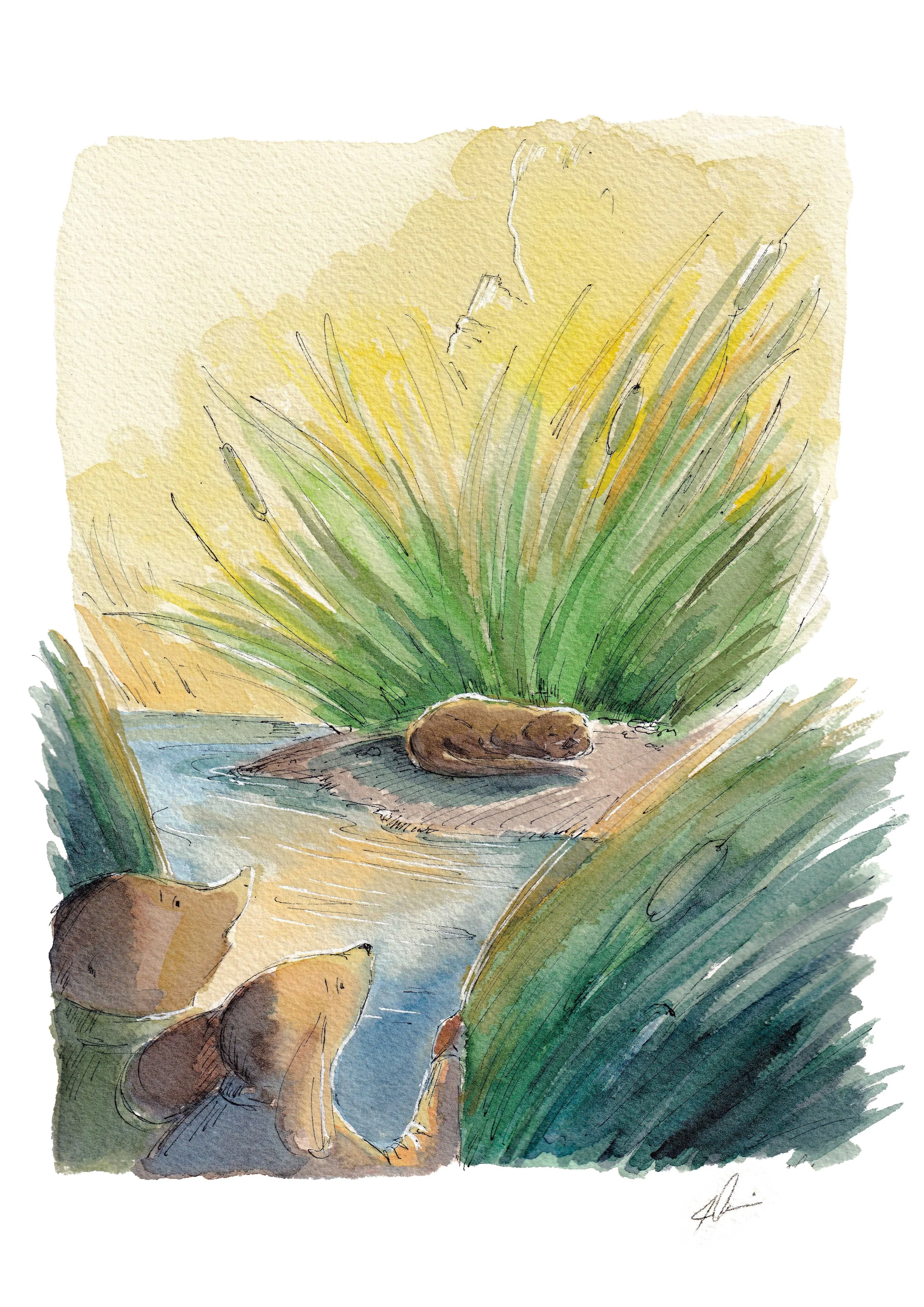 Otter_Thumbnail.jpg