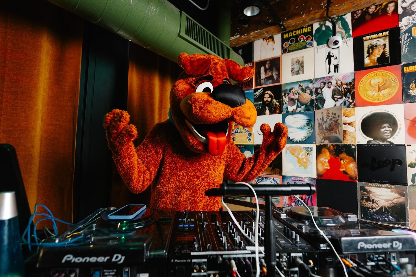 Scooby Snacks and spooky tracks 🦴🎶

12 more days - rsvp through the link in our bio ✨