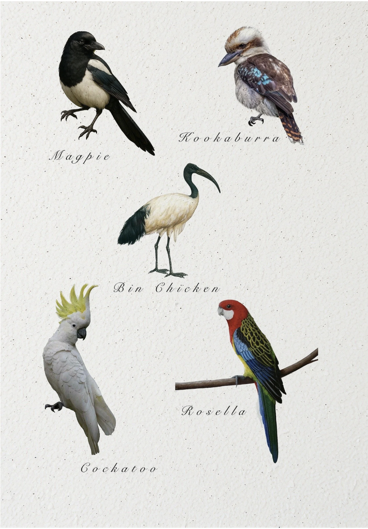 Screenshot 2026-03-15 at 10.59.44 am.png