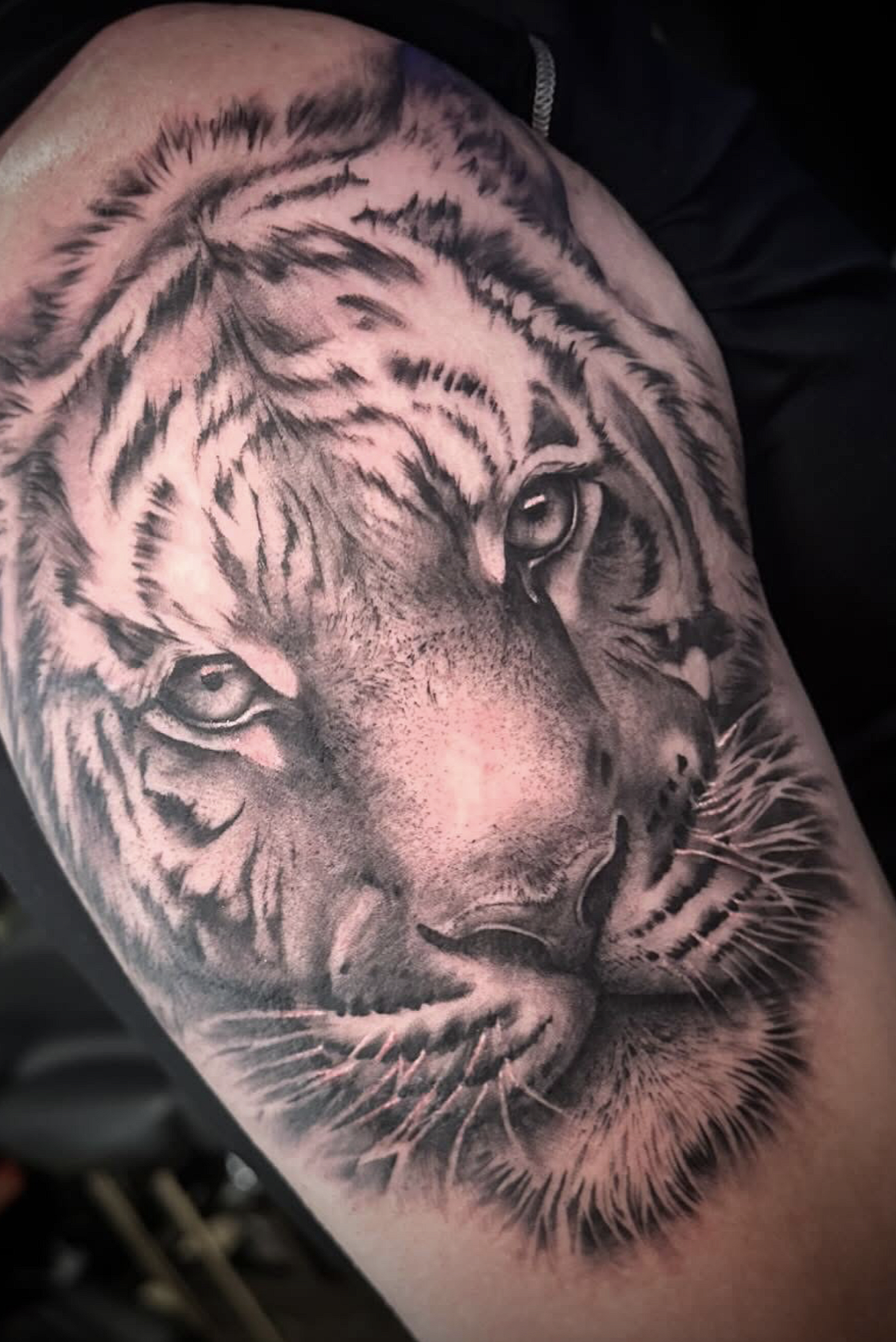 Screenshot 2026-03-16 at 11.46.15 am.png