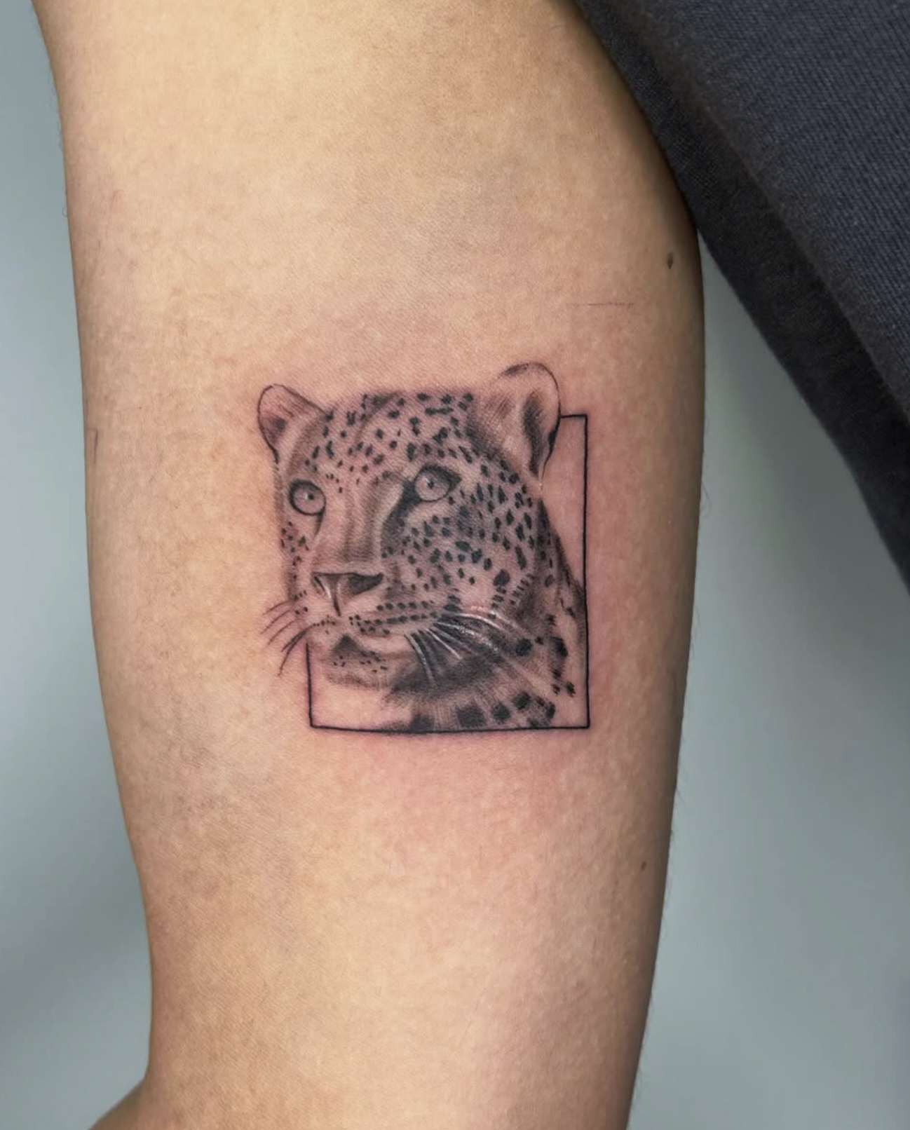 Screenshot 2026-03-14 at 3.39.44 pm.png