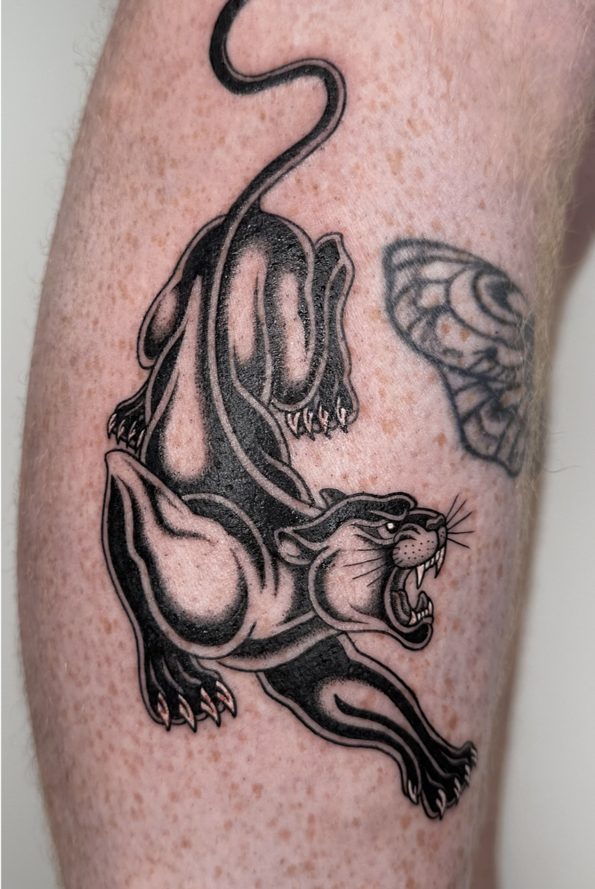 Screenshot 2026-03-15 at 12.04.52 pm.png