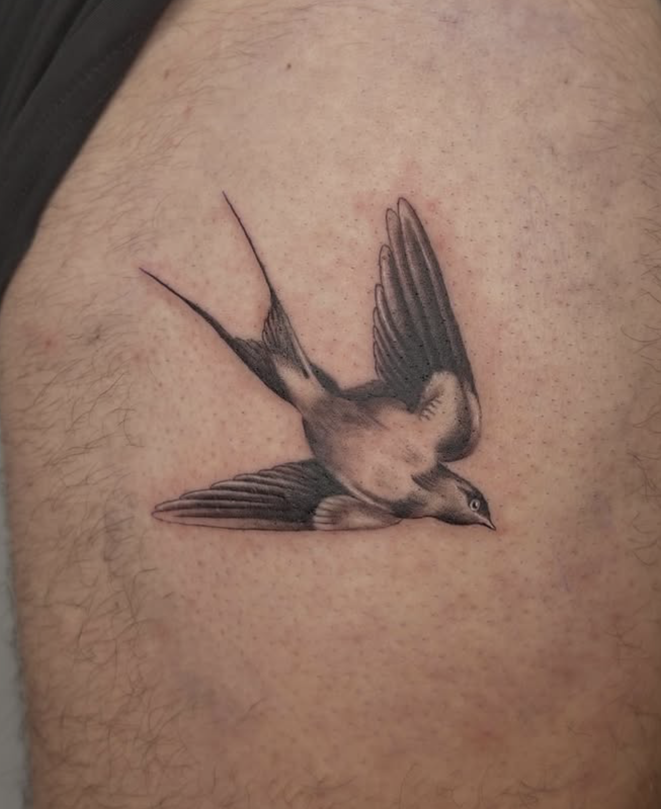 Screenshot 2026-03-14 at 3.45.23 pm.png