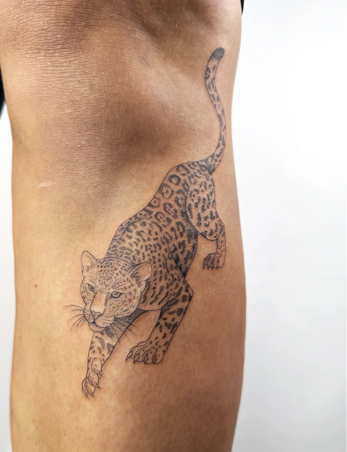 Screenshot 2026-03-15 at 12.01.45 pm.png