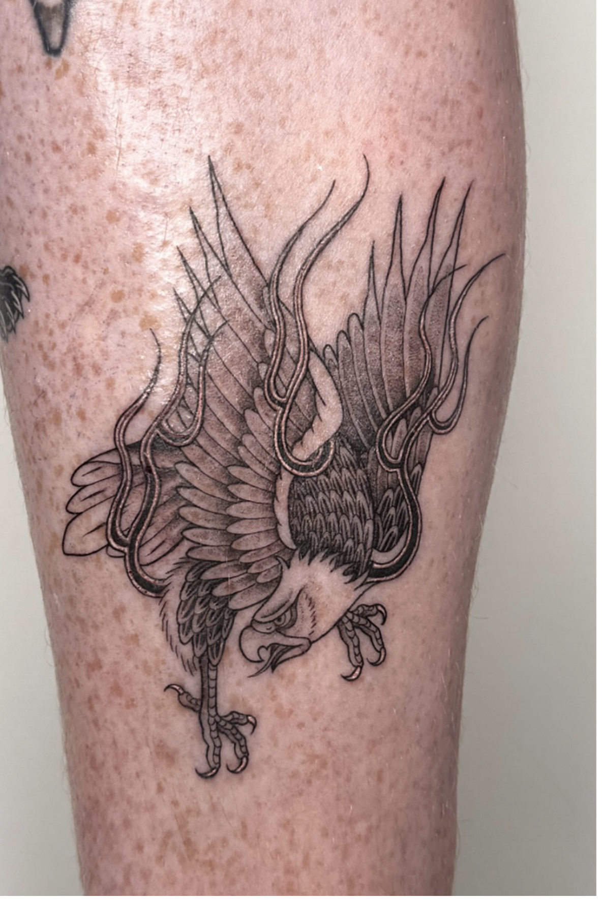 Screenshot 2026-03-15 at 12.06.45 pm.png