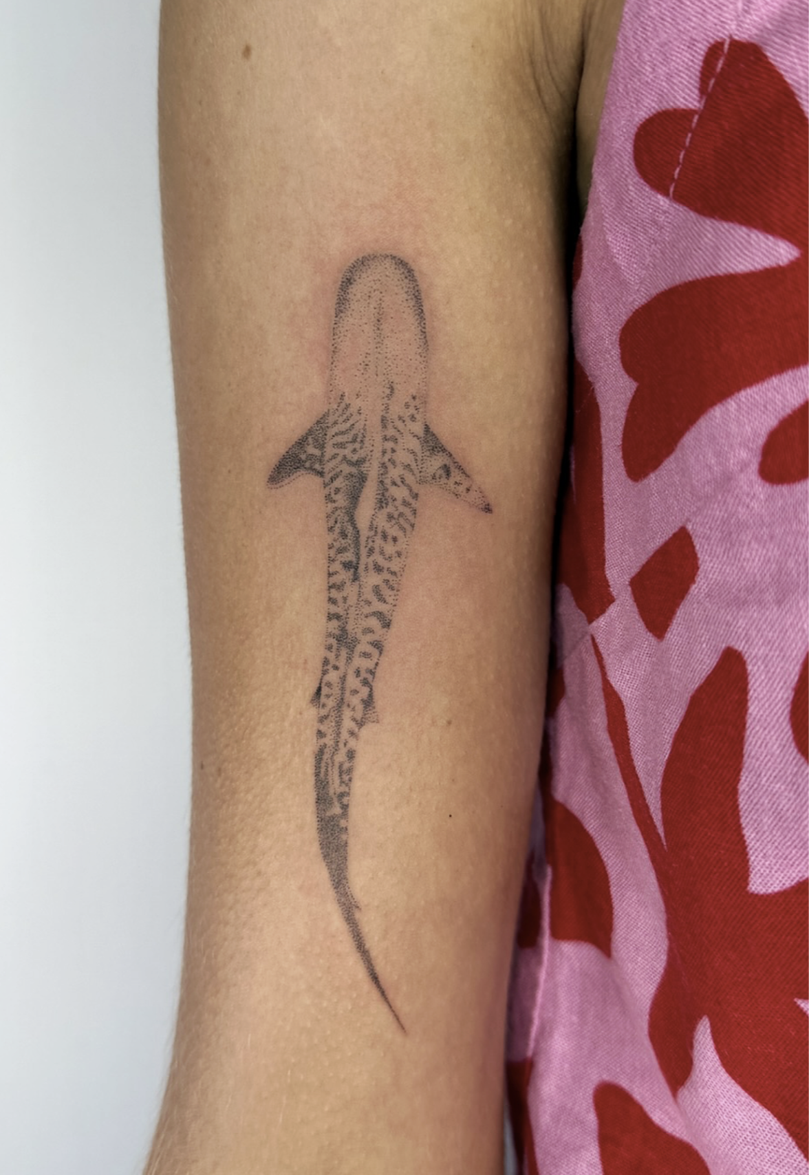 Screenshot 2026-03-15 at 12.03.05 pm.png