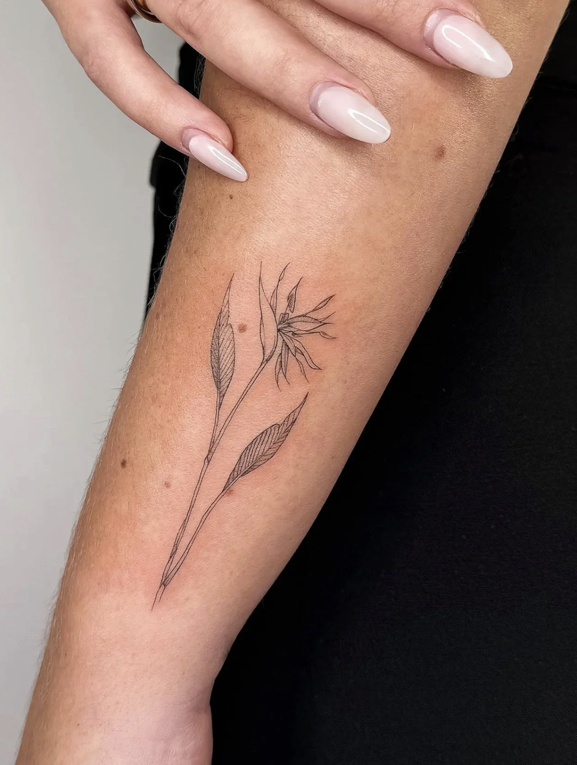 Screenshot 2026-03-15 at 12.02.20 pm.png