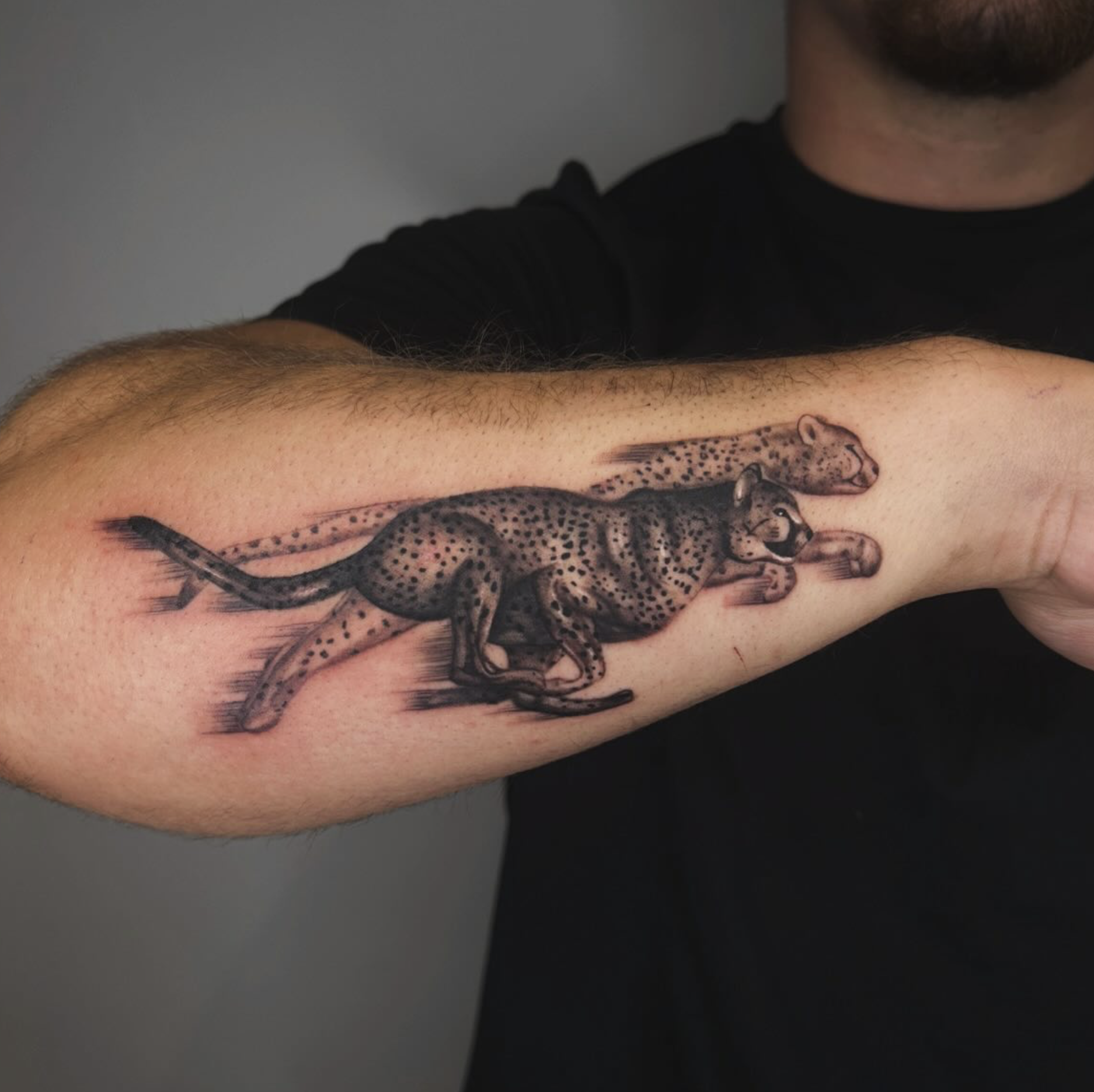 Screenshot 2026-03-14 at 3.44.56 pm.png