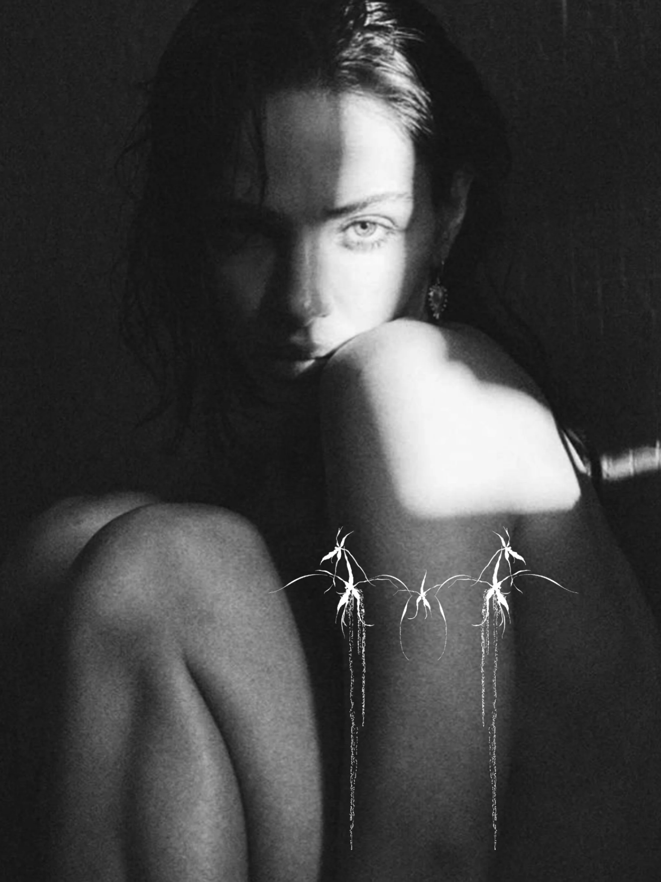 Screenshot 2026-03-15 at 1.49.59 pm.png