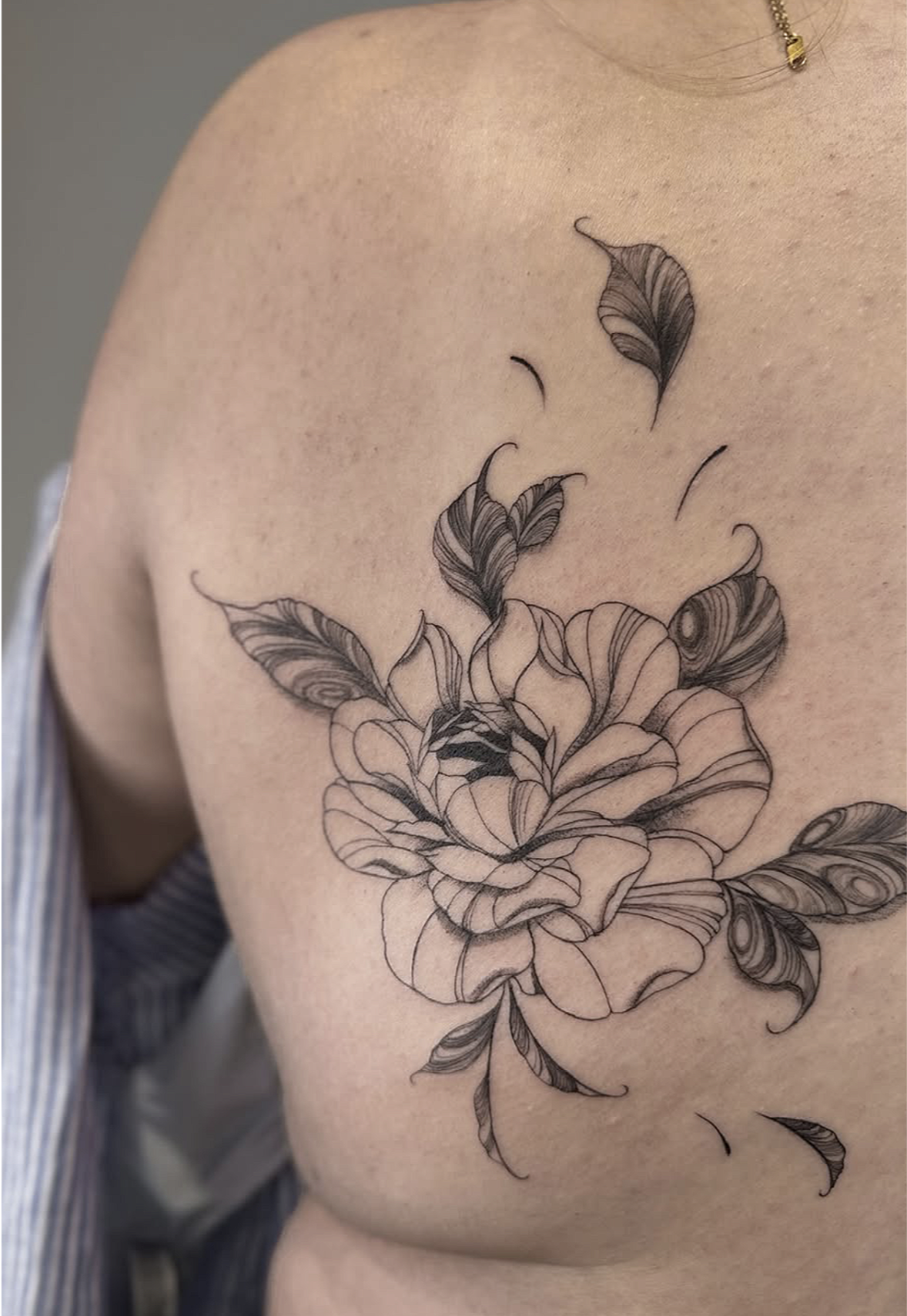 Screenshot 2026-03-15 at 10.51.20 am.png