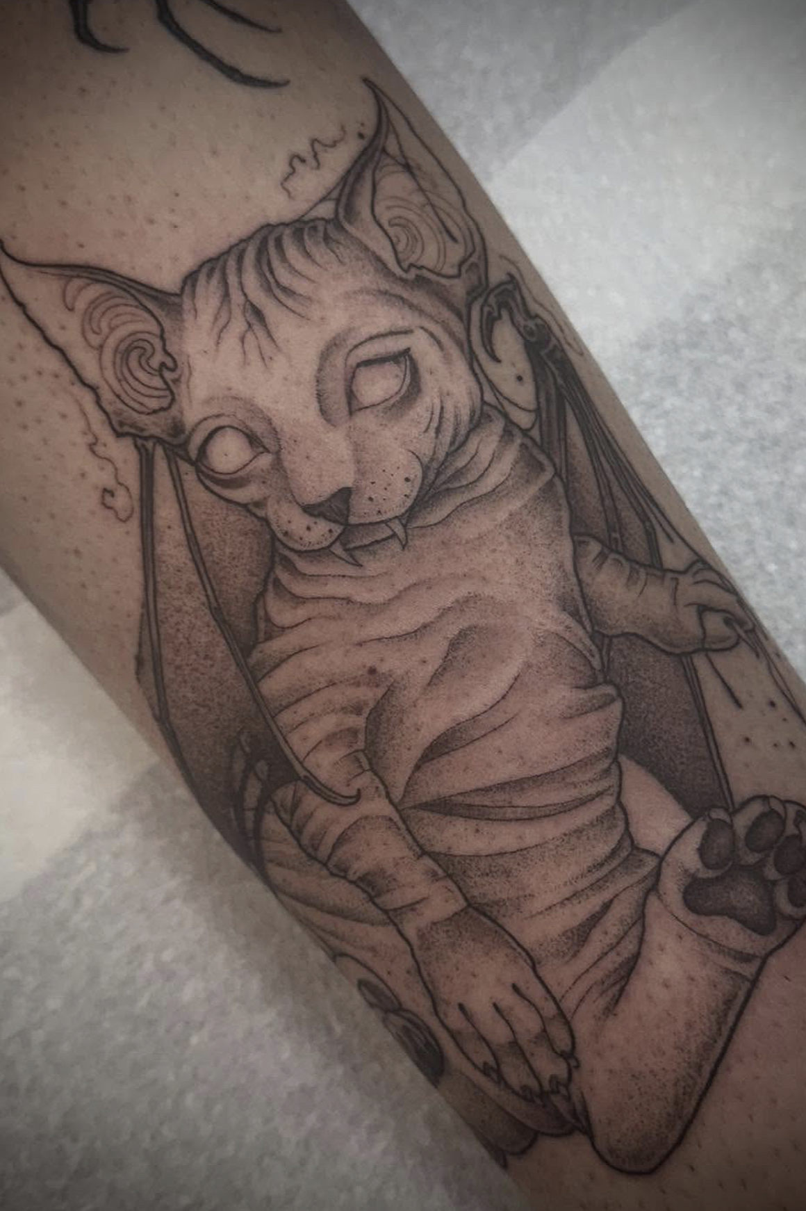 Screenshot 2026-03-16 at 11.46.45 am.png