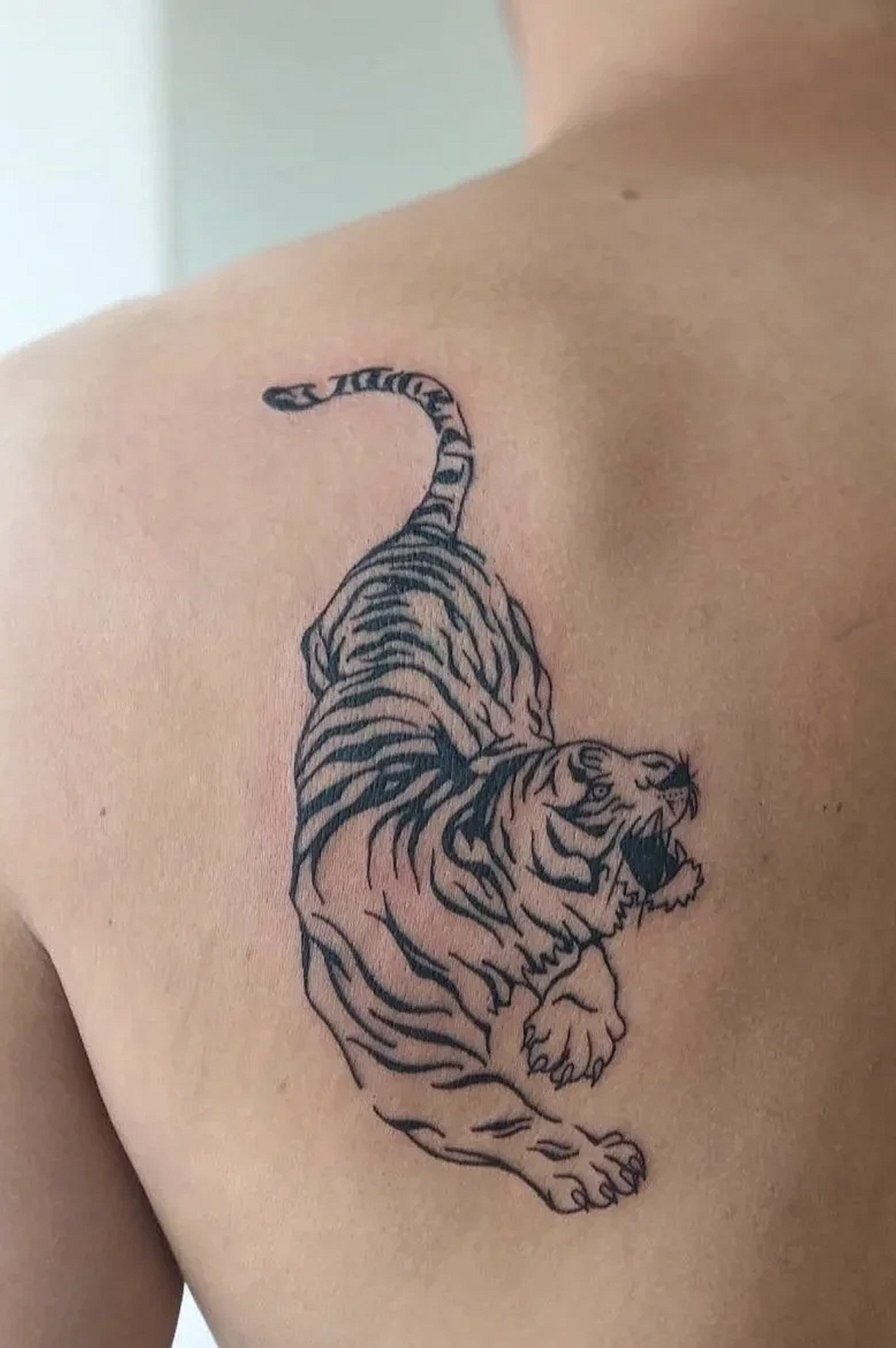 Screenshot 2026-03-15 at 12.48.25 pm.png