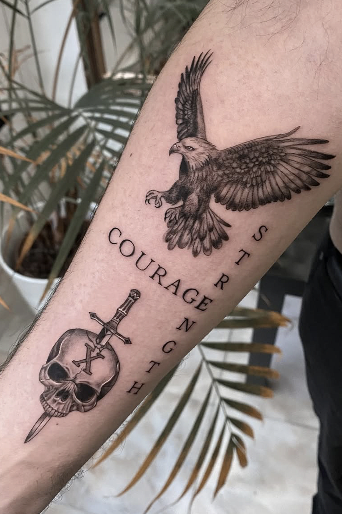 Screenshot 2026-03-15 at 10.53.19 am.png