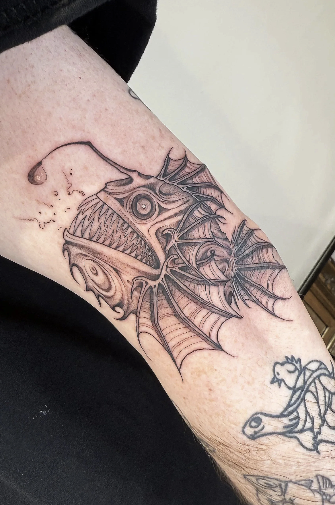 Screenshot 2026-03-16 at 11.44.58 am.png