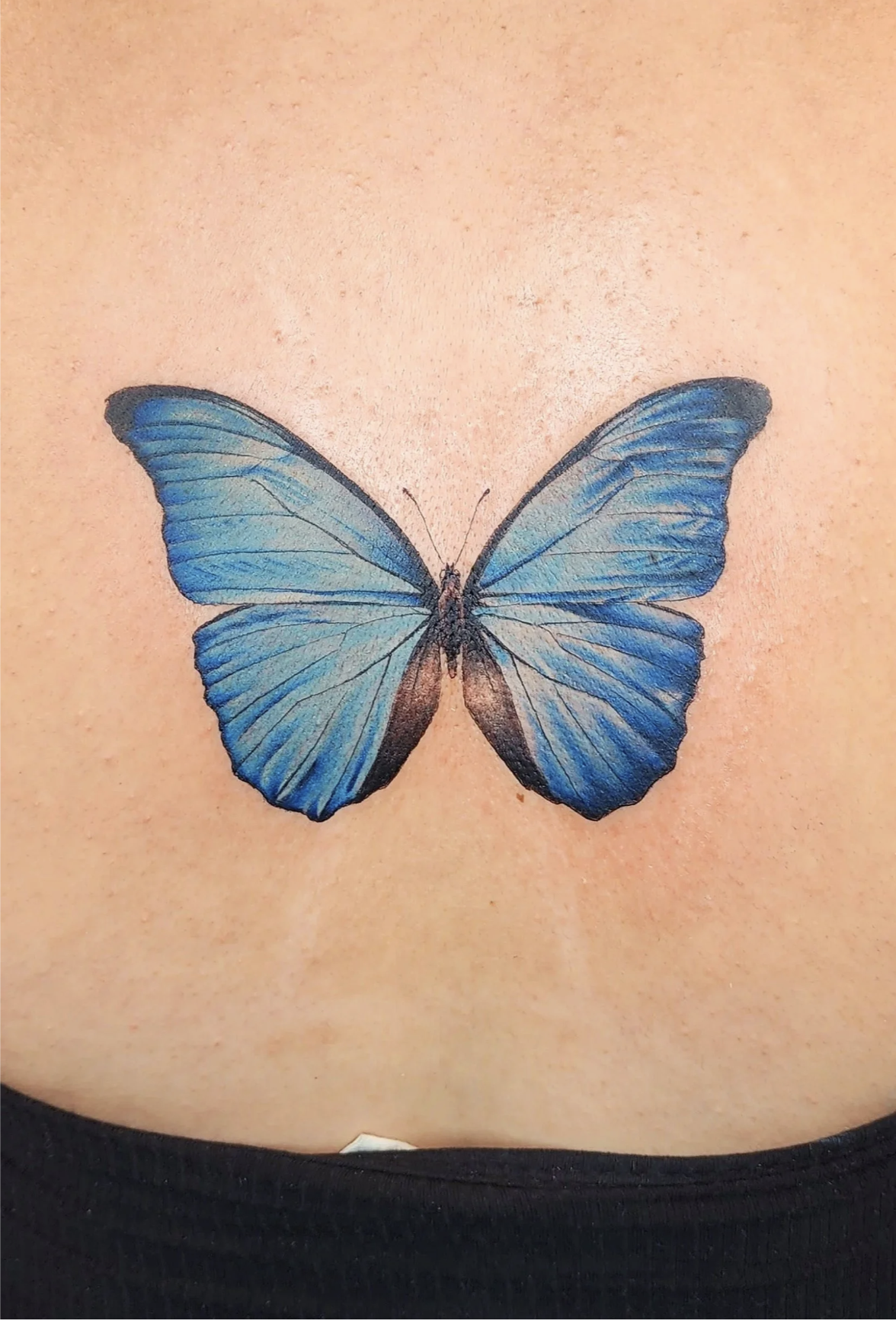 Screenshot 2026-03-15 at 11.36.59 am.png