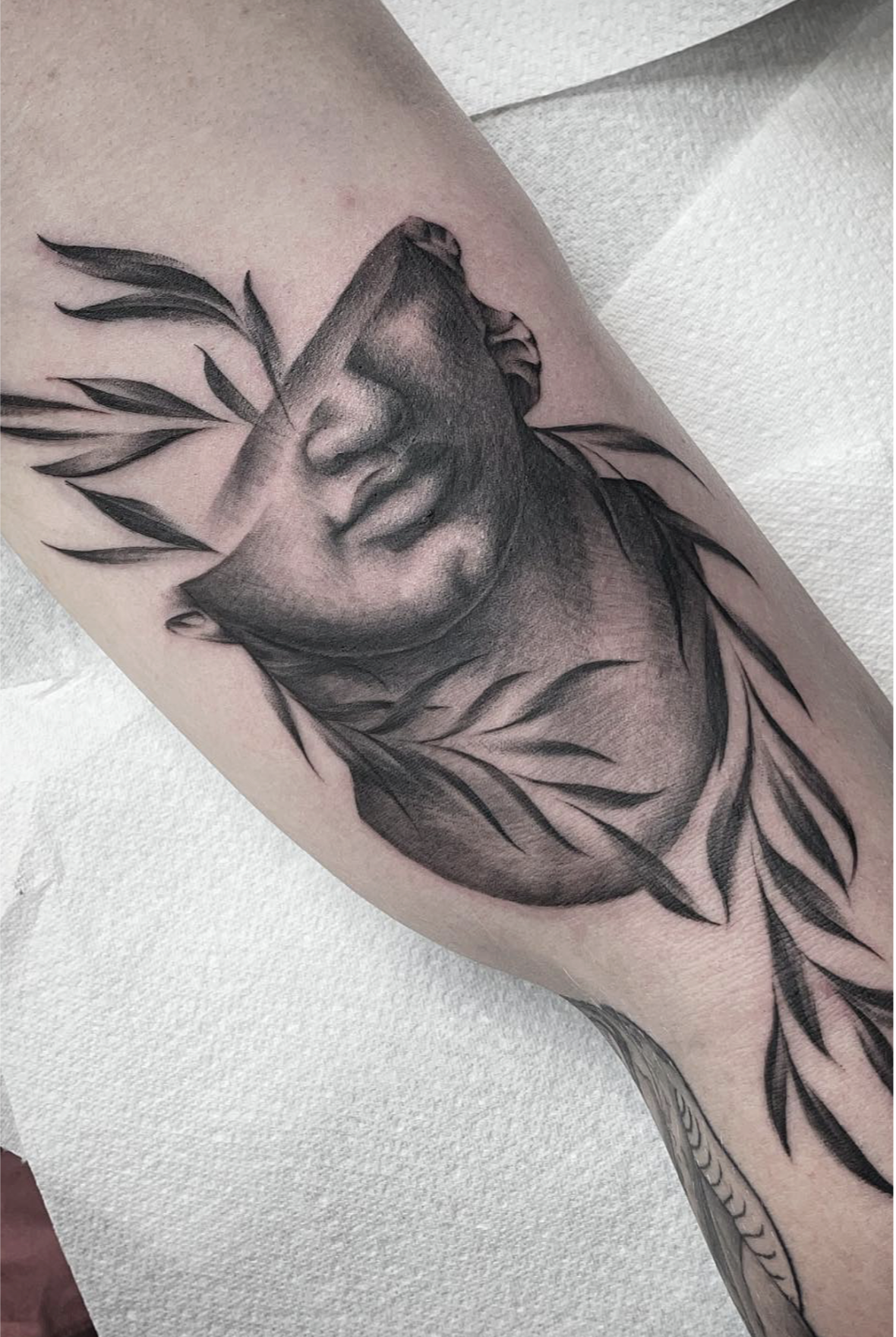 Screenshot 2026-03-16 at 11.40.02 am.png