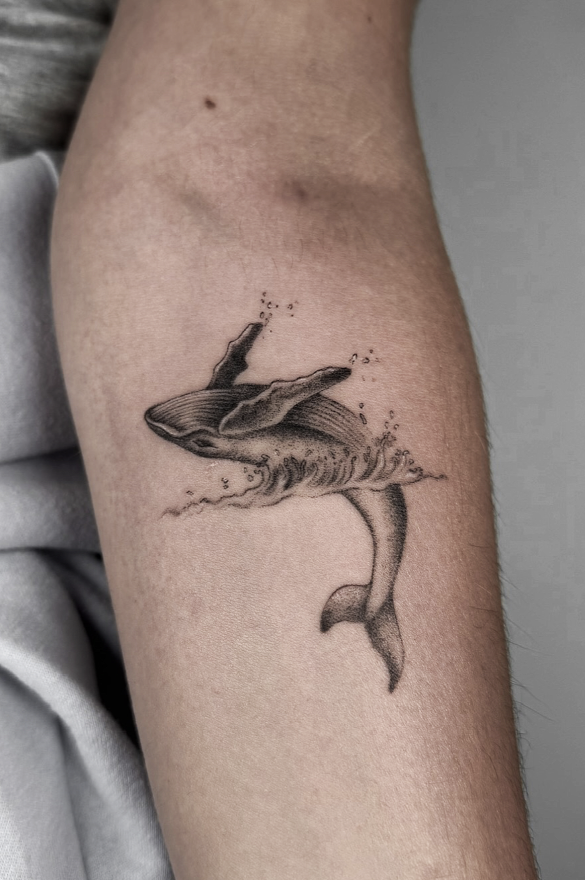 Screenshot 2026-03-15 at 10.54.23 am.png