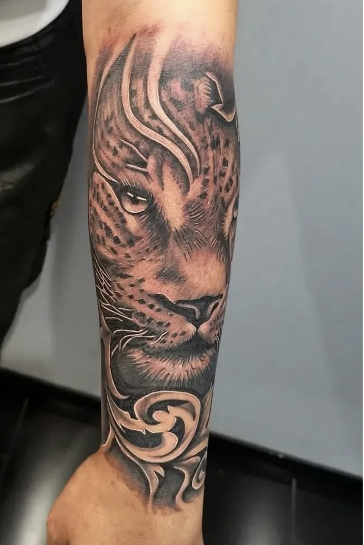 Screenshot 2026-03-15 at 12.45.39 pm.png