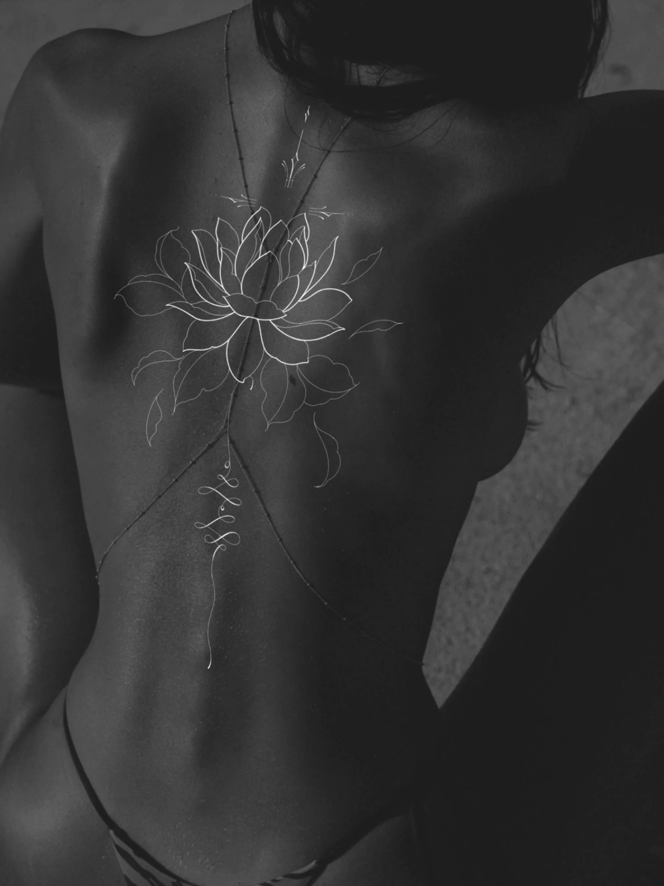 Screenshot 2026-03-15 at 2.04.37 pm.png