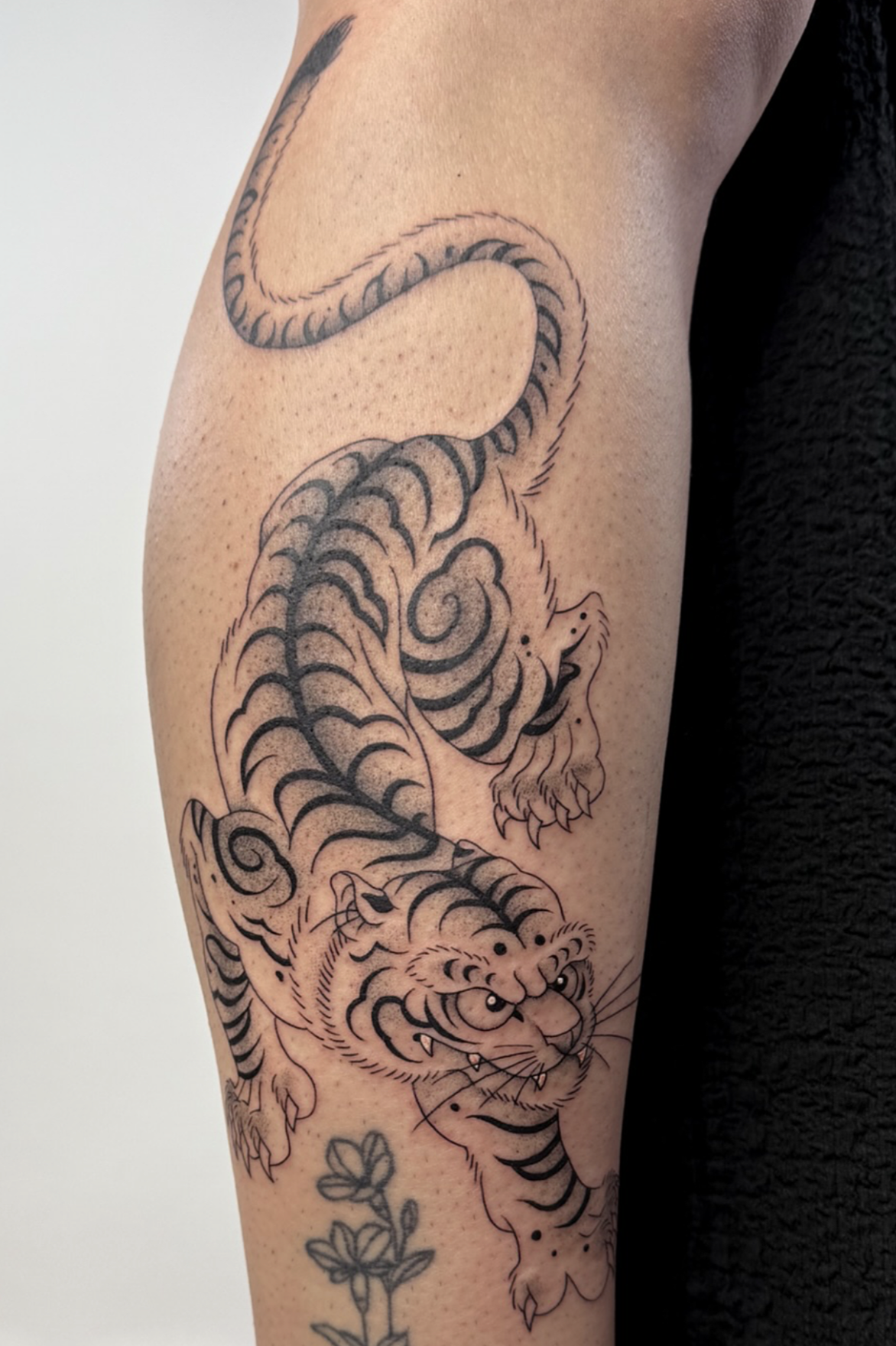 Screenshot 2026-03-15 at 11.48.25 am.png