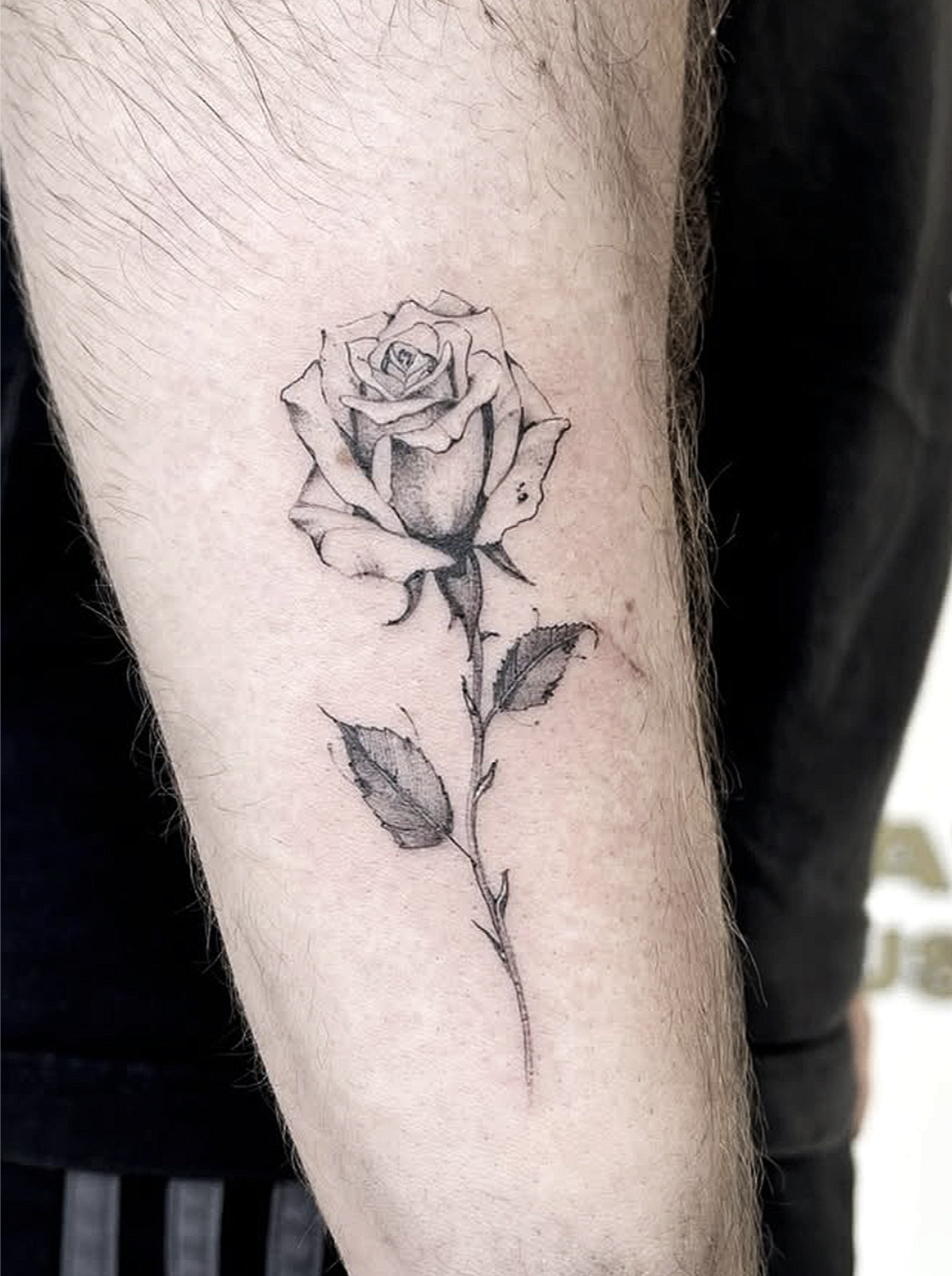 Screenshot 2026-03-15 at 11.14.14 am.png