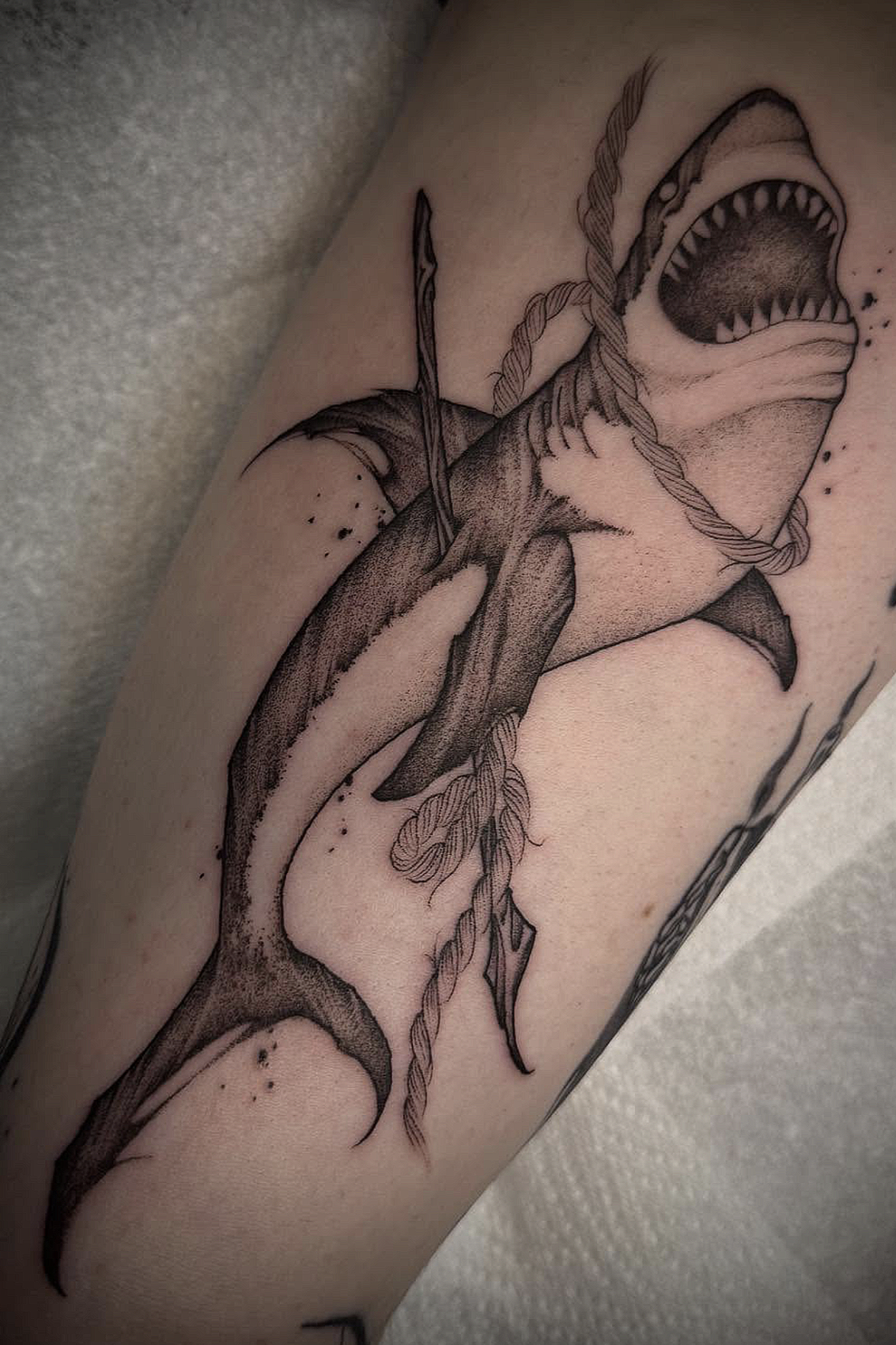 Screenshot 2026-03-16 at 11.37.58 am.png