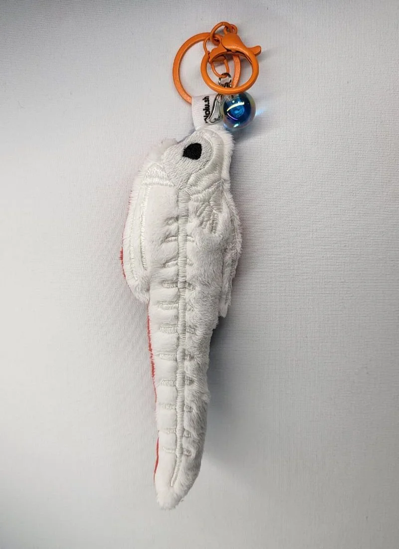 Oarfish back.jpg