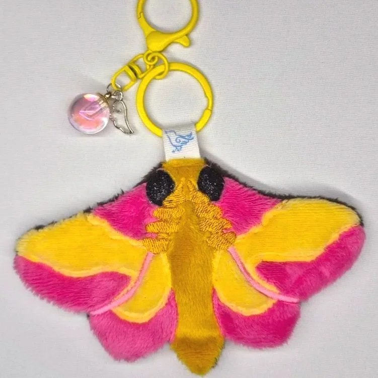 rosy+maple+moth+front.jpg