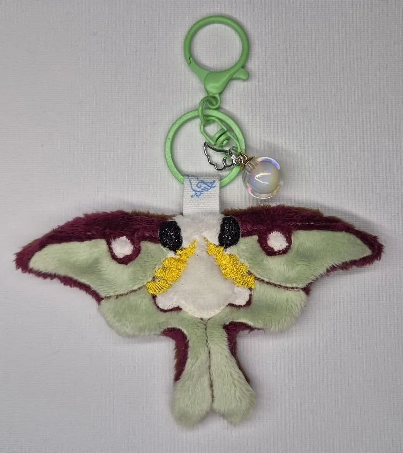 luna moth front.jpg