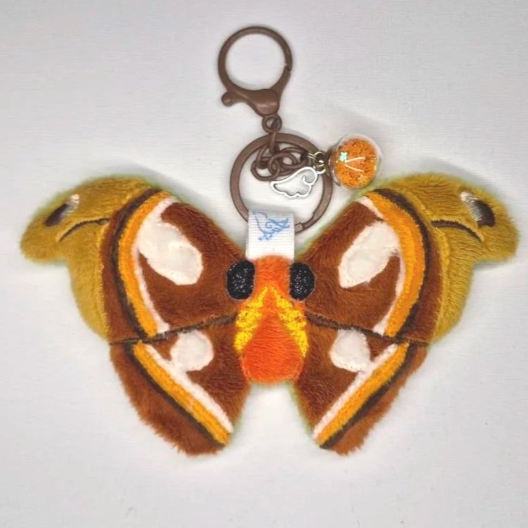 atlas+moth+front.jpg