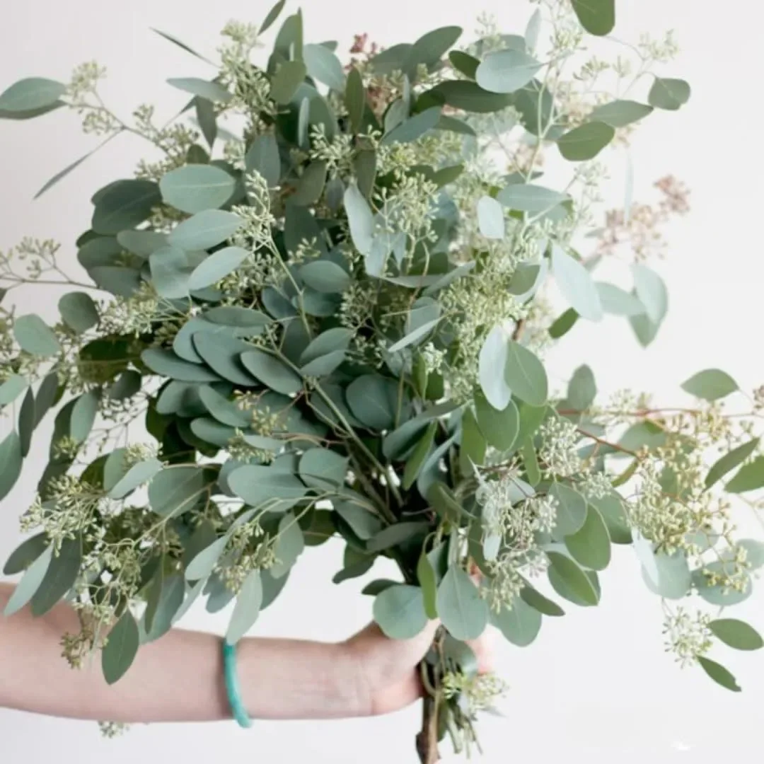 Greenery.webp