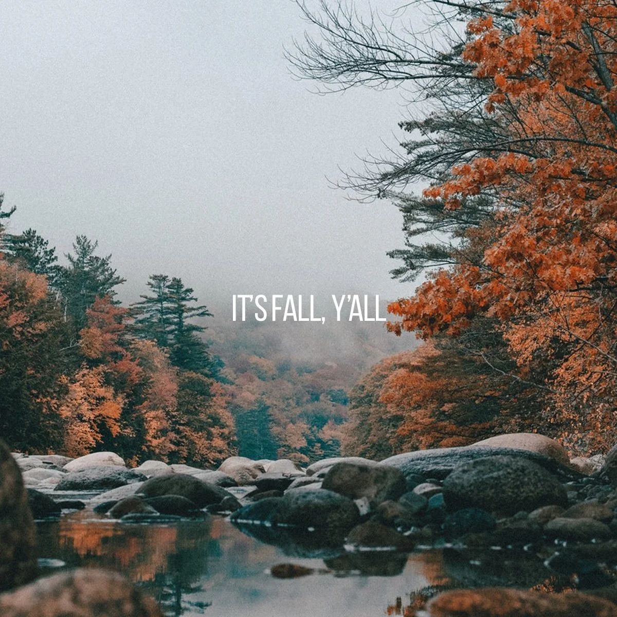 🍁🍂 Even though the official first day of fall was September 22nd&hellip; we all know the real first day of fall is TODAY..... 👀😏🍂🍁
☕🍎 So tell us&hellip; what&rsquo;s your favorite fall drink? (Pumpkin spice? Hot apple cider? Salted caramel lat