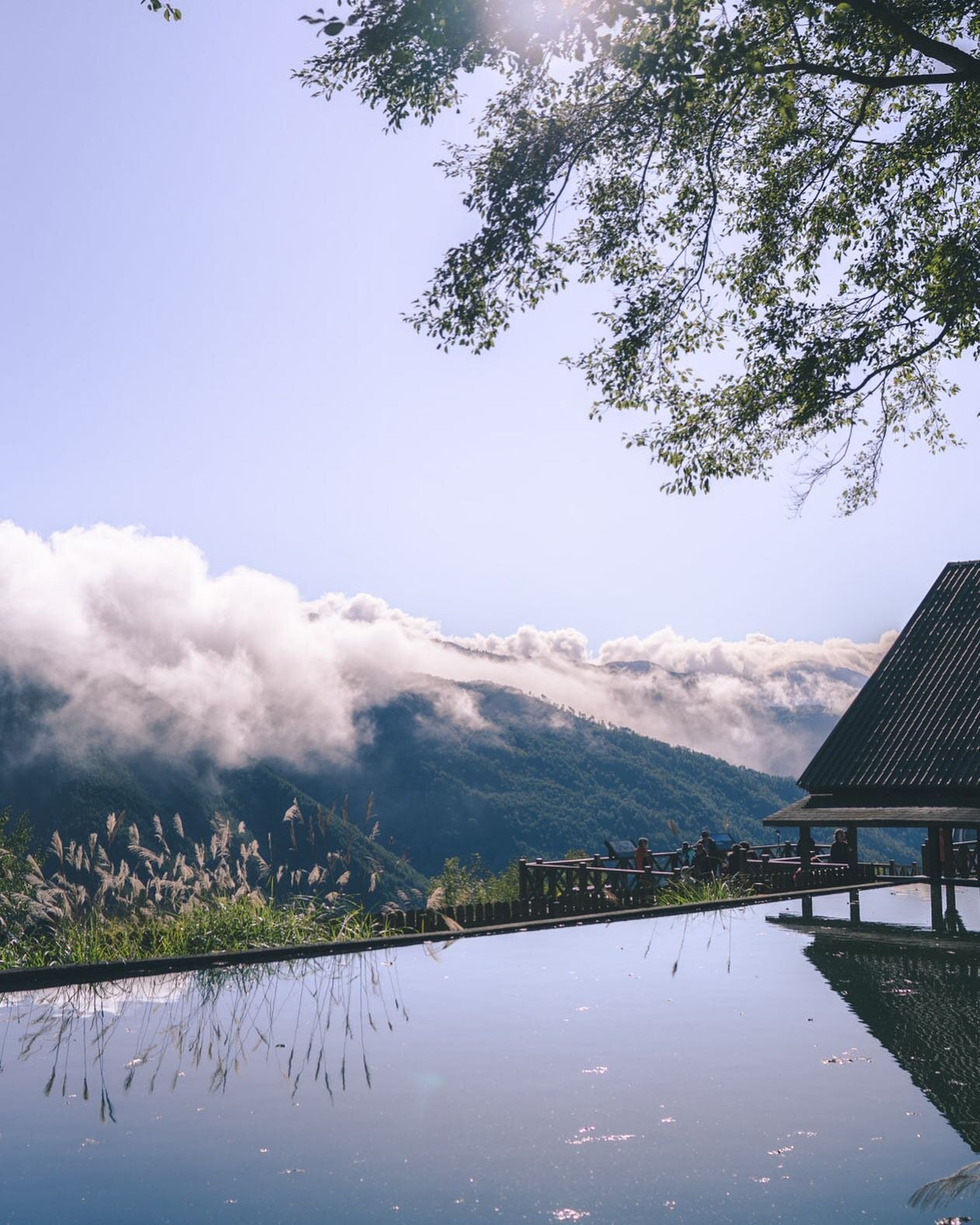 #Sony台灣之美 #SonyA7III #山林之美