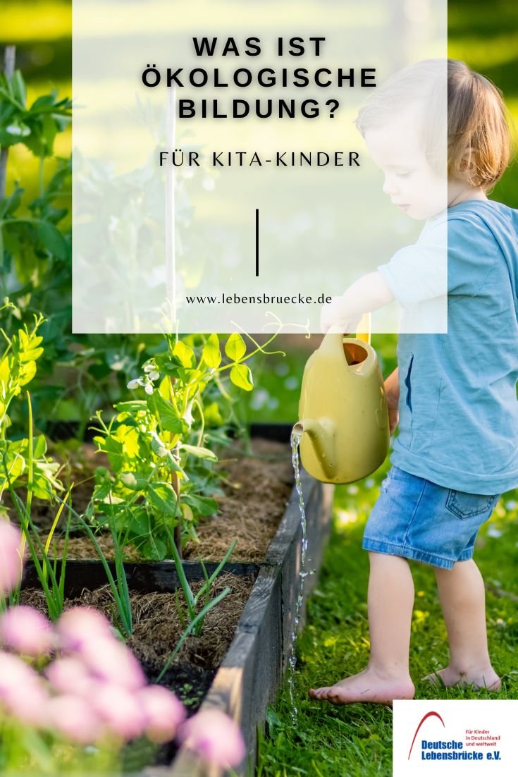 Ökologische Bildung in der Kita
