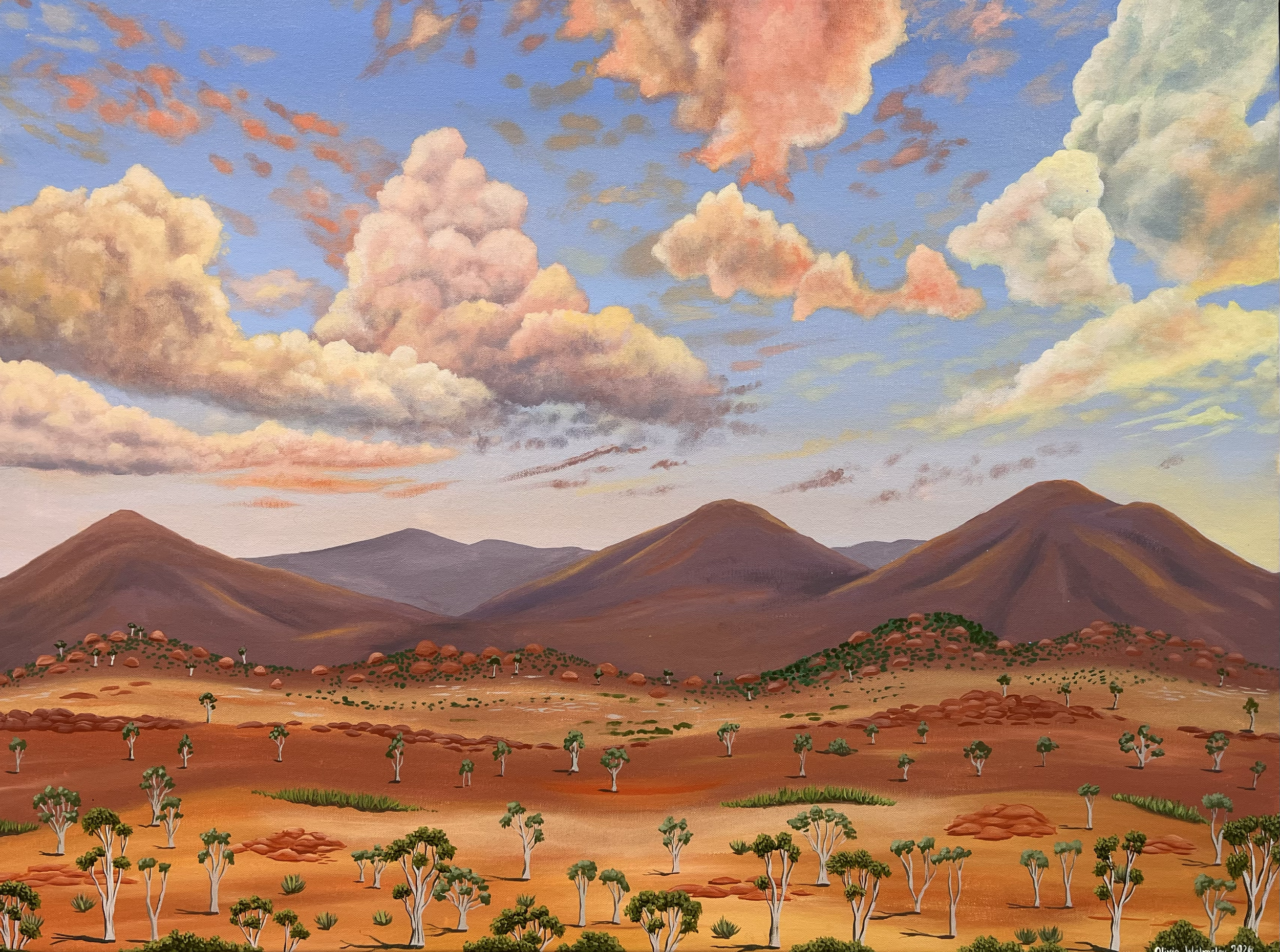Rainbow Landscape, 2026. Acrylic on Canvas. 82 cm x 62 cm. $2100