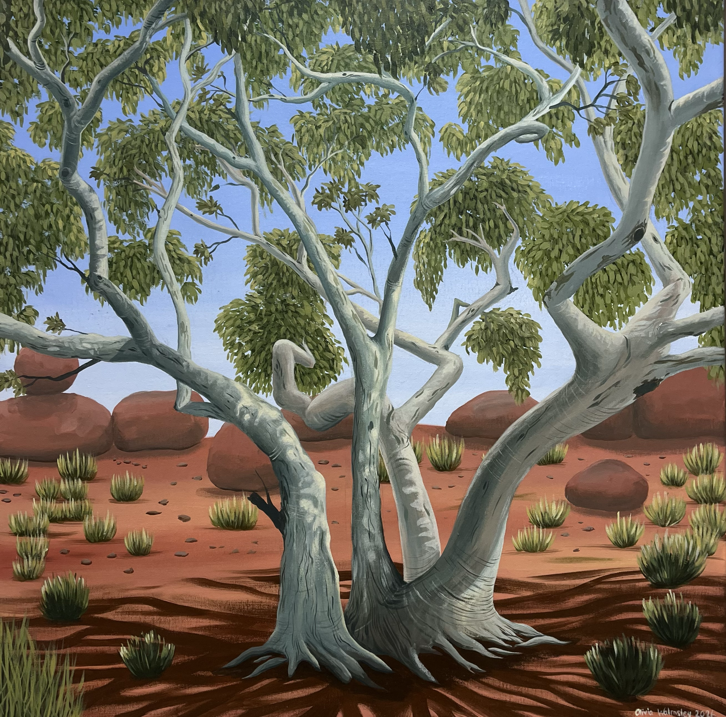 Kings Canyon, 2026. Acrylic on Canvas. 72 cm x 72 cm. $2100
