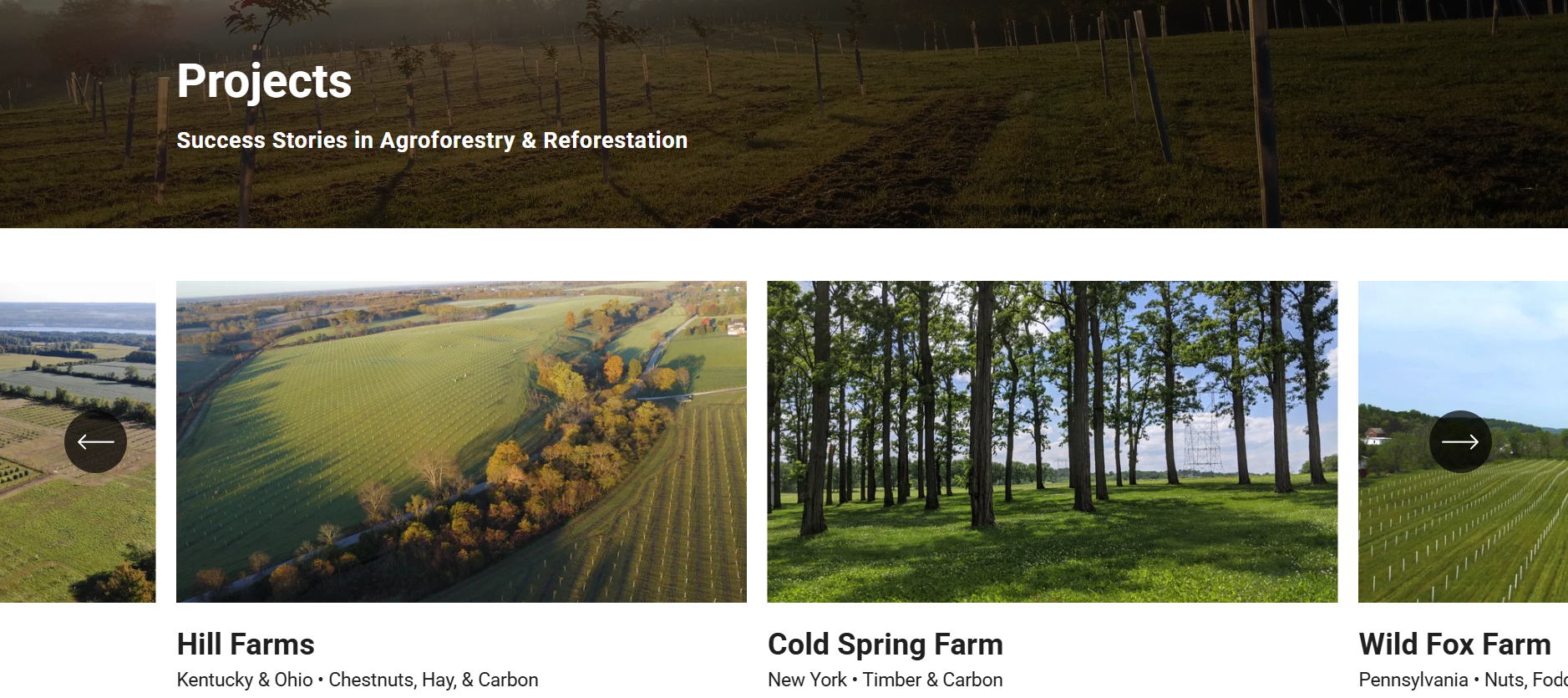 Real project image from Propagate showing agroforestry farm development and regenerative tree-based agricultural systems
