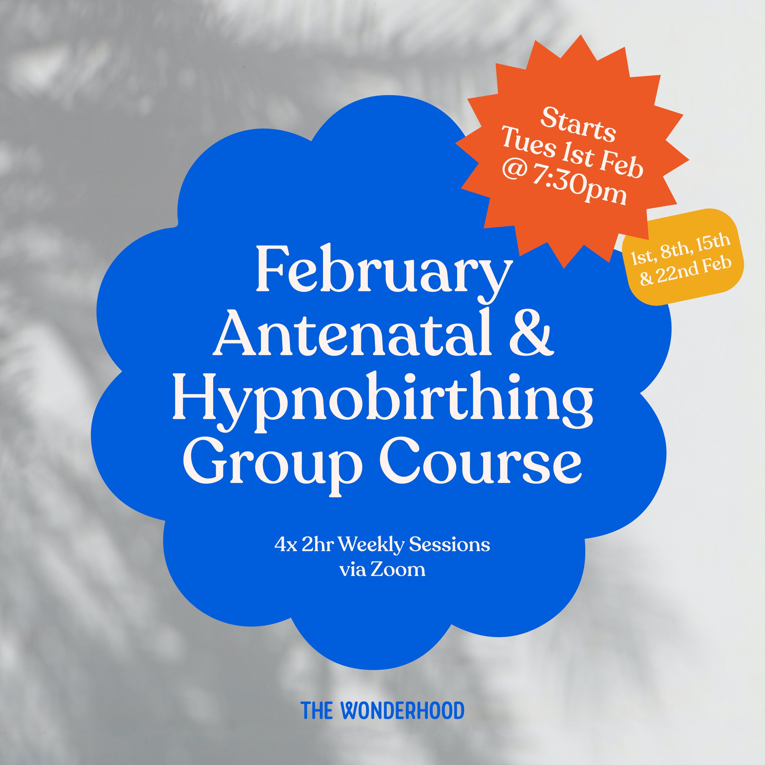 Web_Course_Graphics_2022-01.jpg