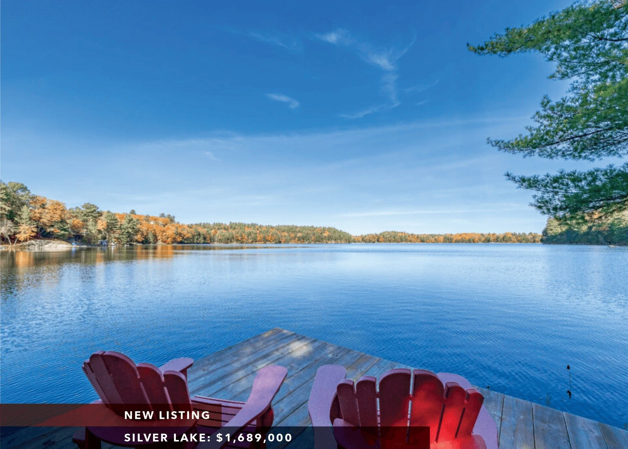 For Sale Muskoka — Jeffrey Braun