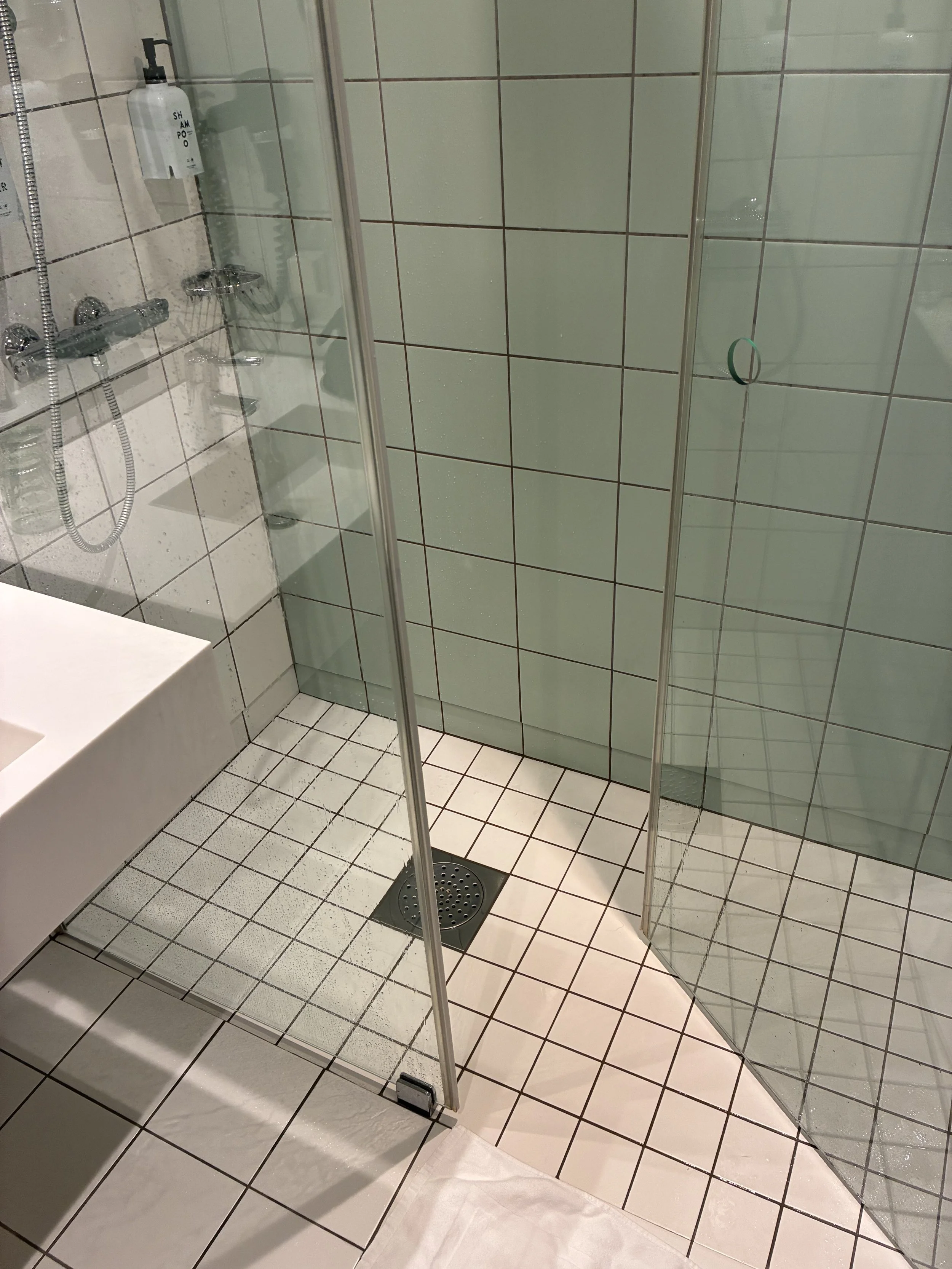 IMG_2144.jpeg