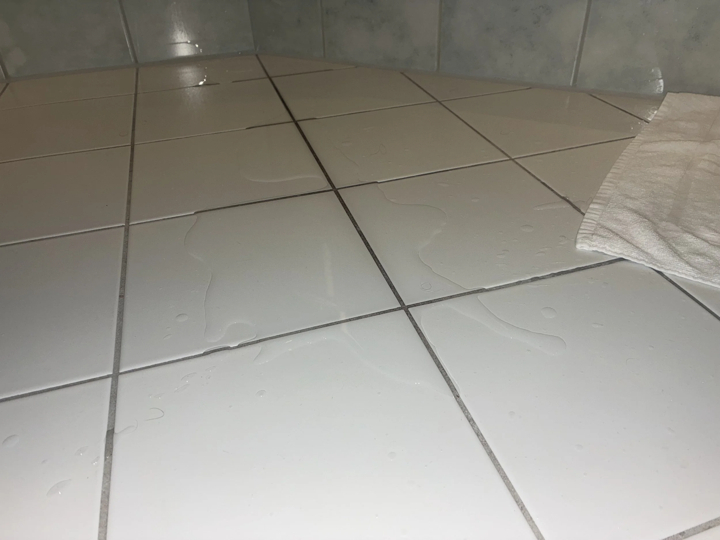 IMG_2299.jpeg