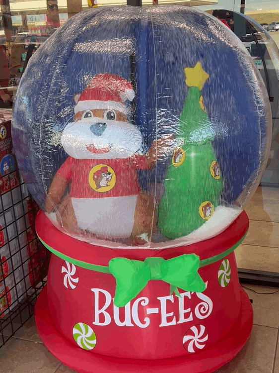 VideoToGif_GIF 19.GIF